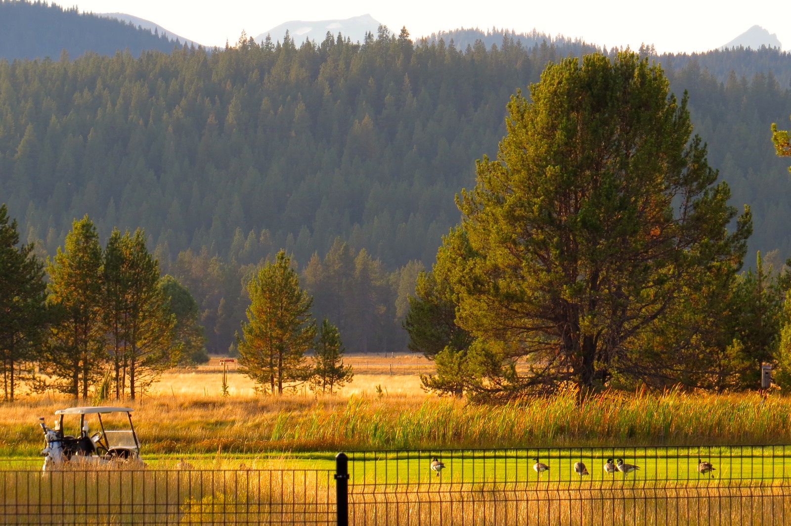 Vlogger Café Travel: I Won a Trip &amp; Launched a Blog!