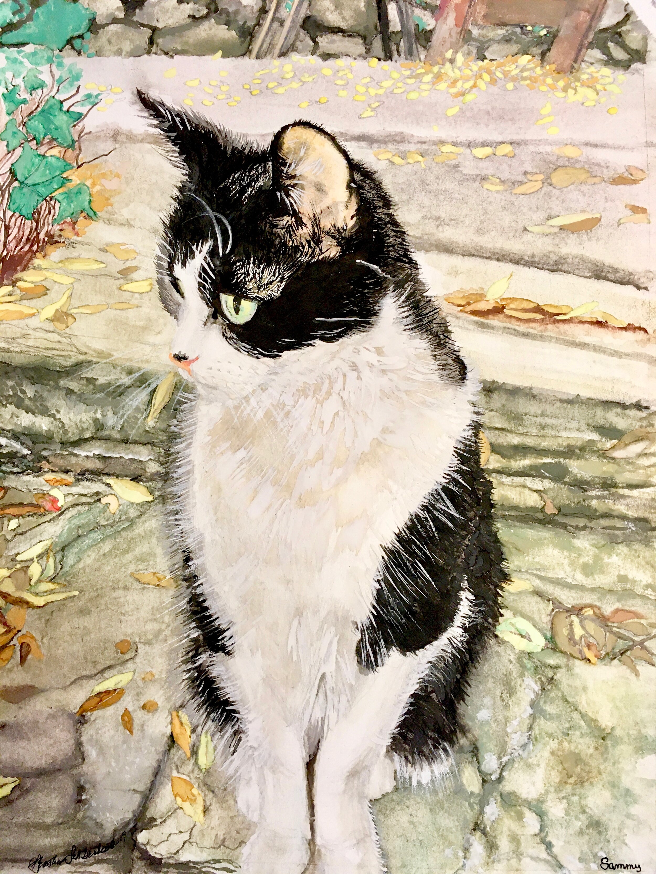 Sammy Cat Commission Watercolor 11_22_19.jpg