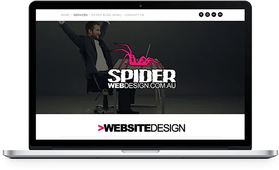 11-SpiderWebDesign2.jpg