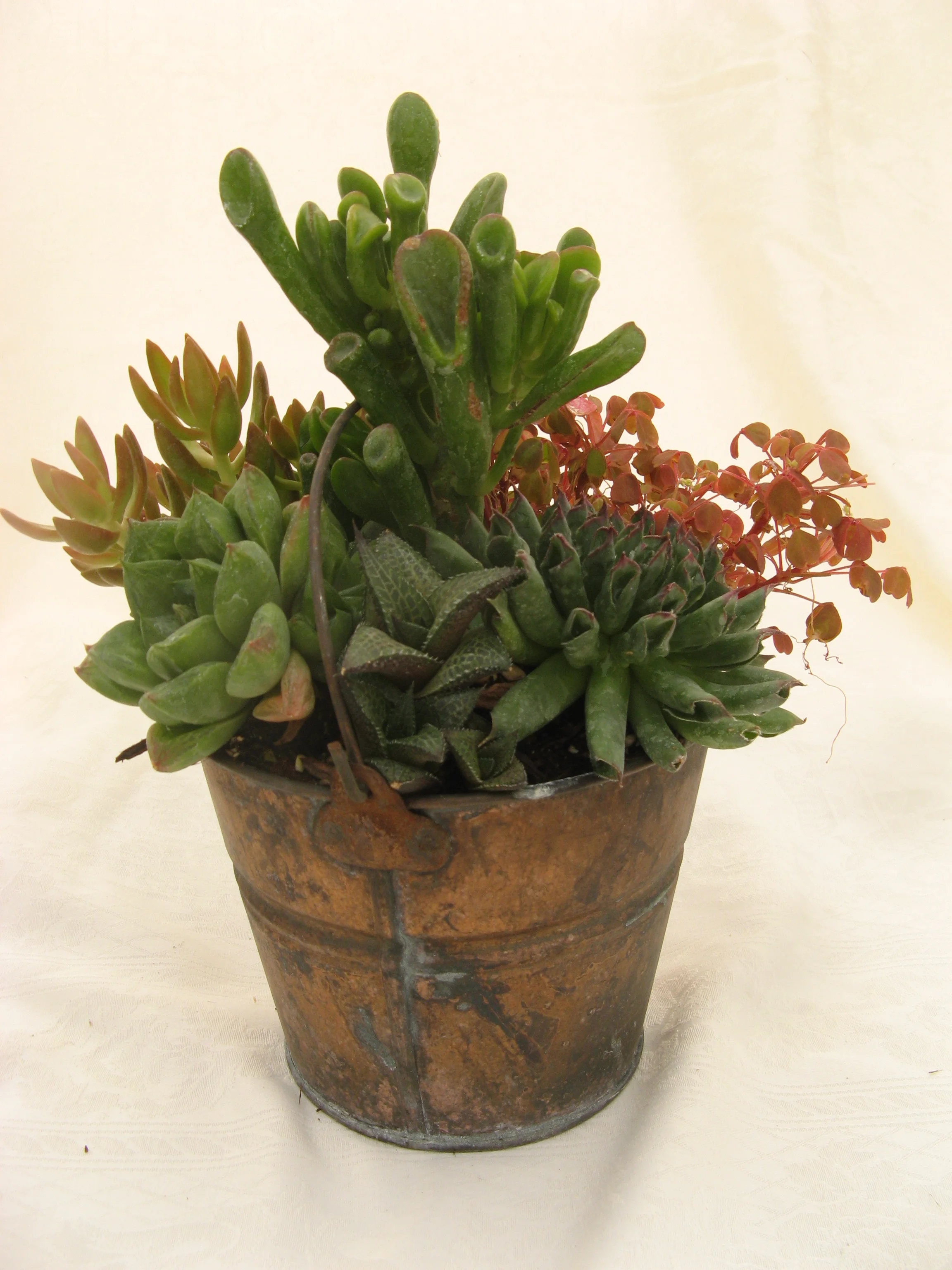 Rustic Bucket Arrangement