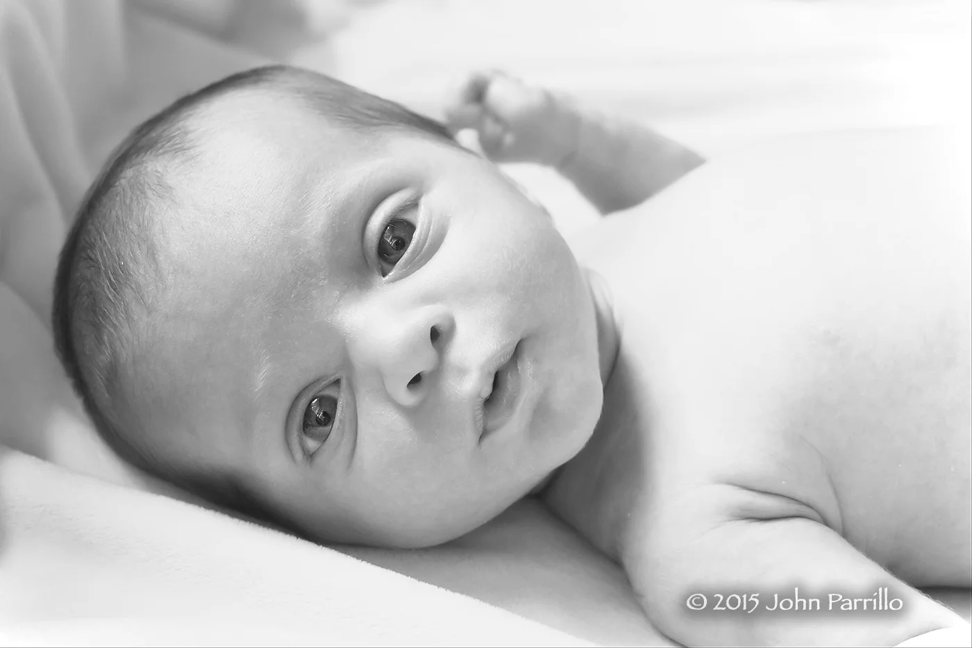 IMG_6571bwweb1.jpg