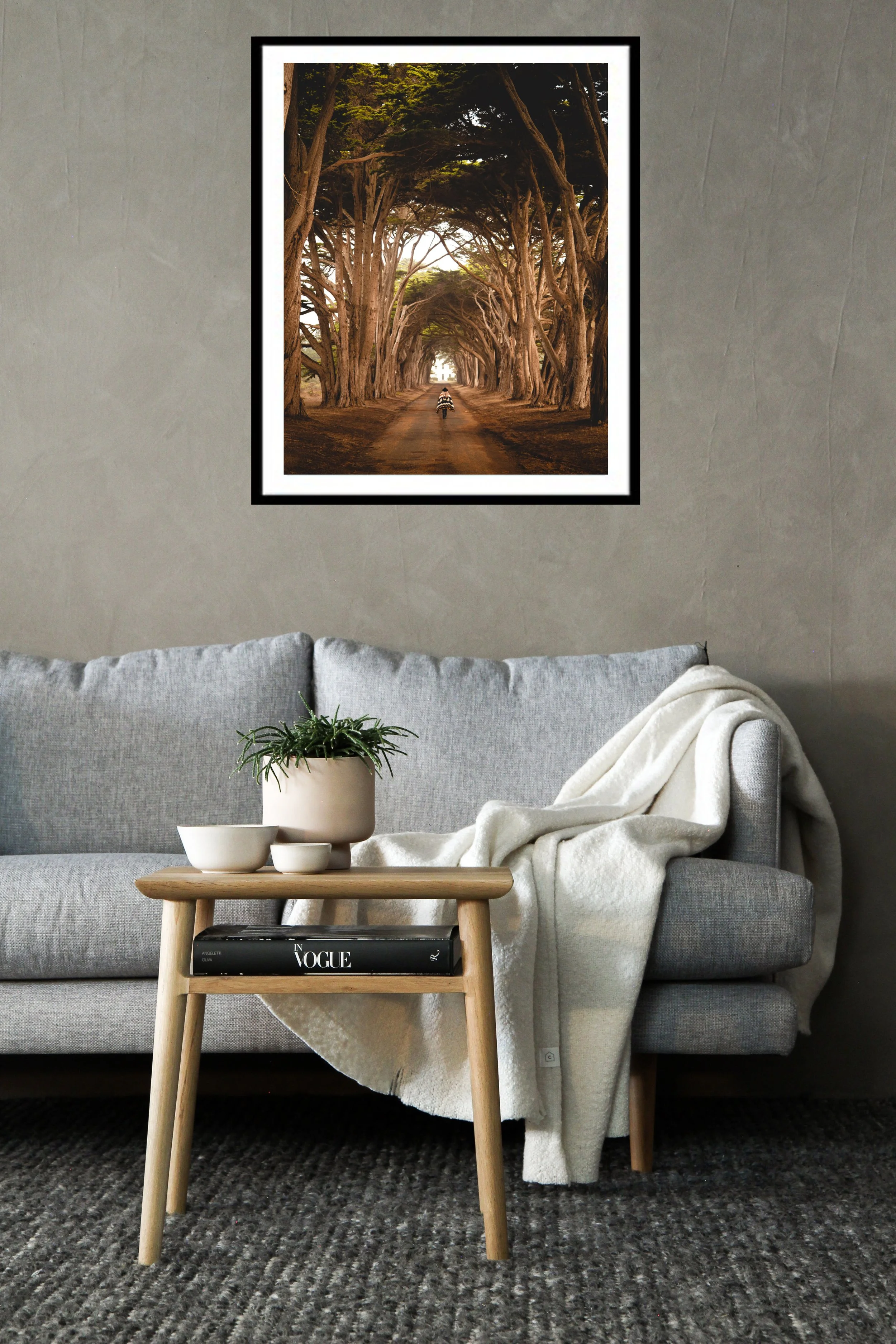 LIVING ROOM STOCK TREE TUNNEL.jpg