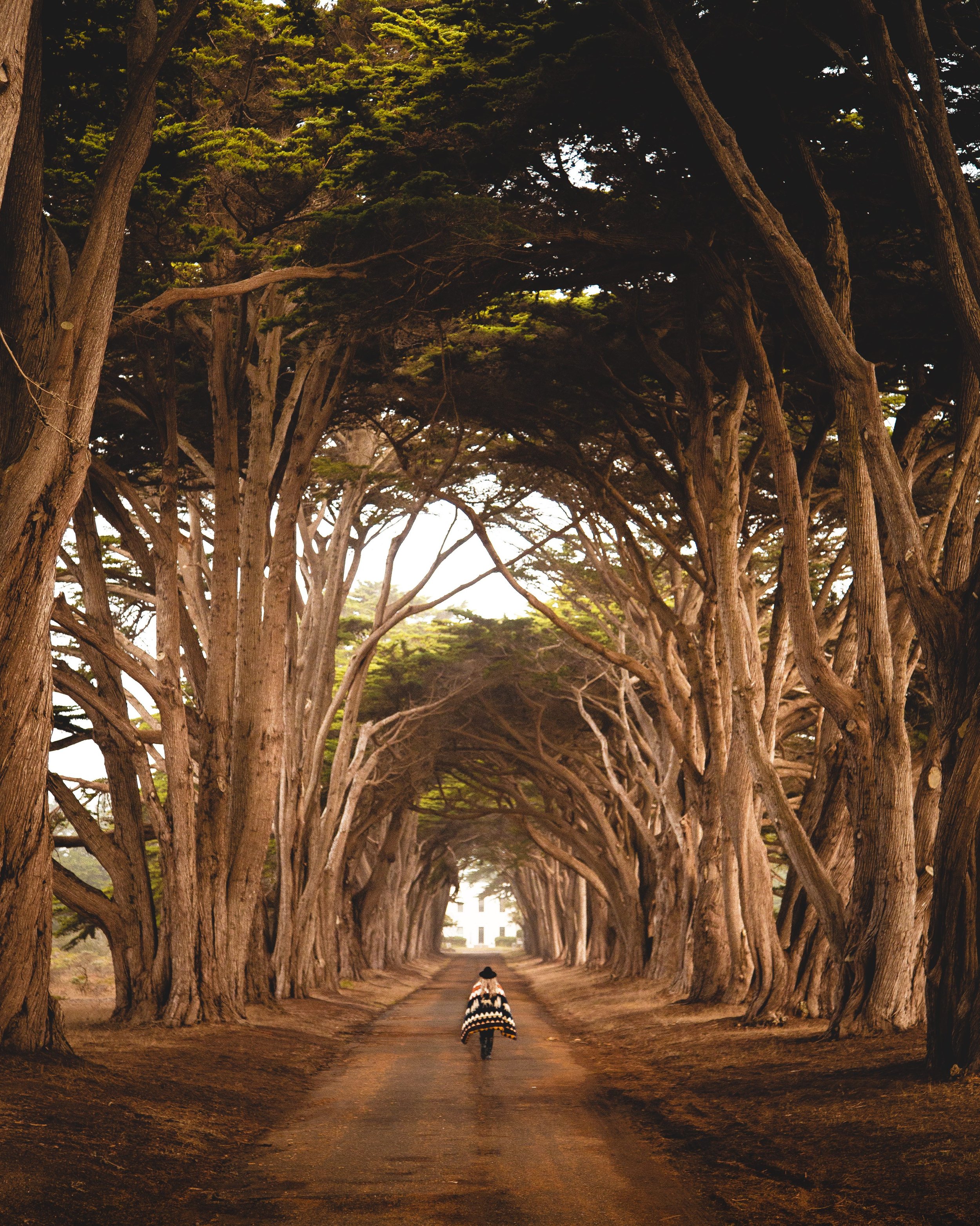 lone road1.jpg