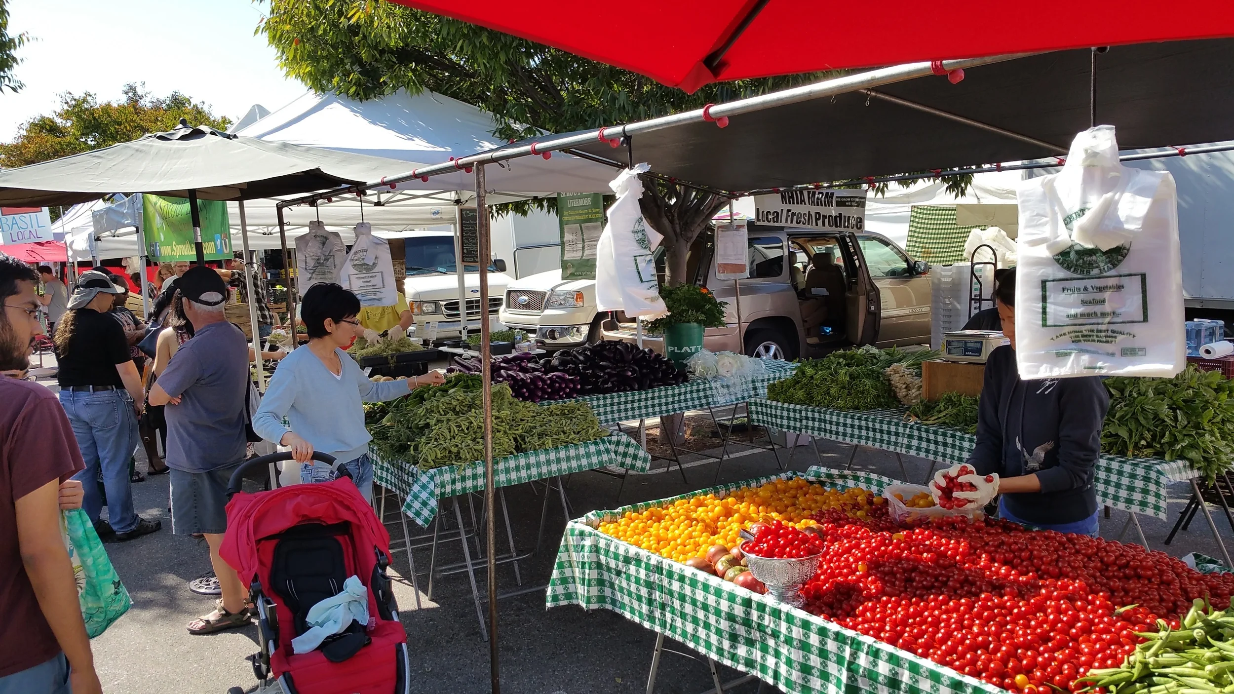 The Mountain View Farmer's Market. On Super Bowl Sunday, it will be open from 9 until noon at California and Bryant streets.