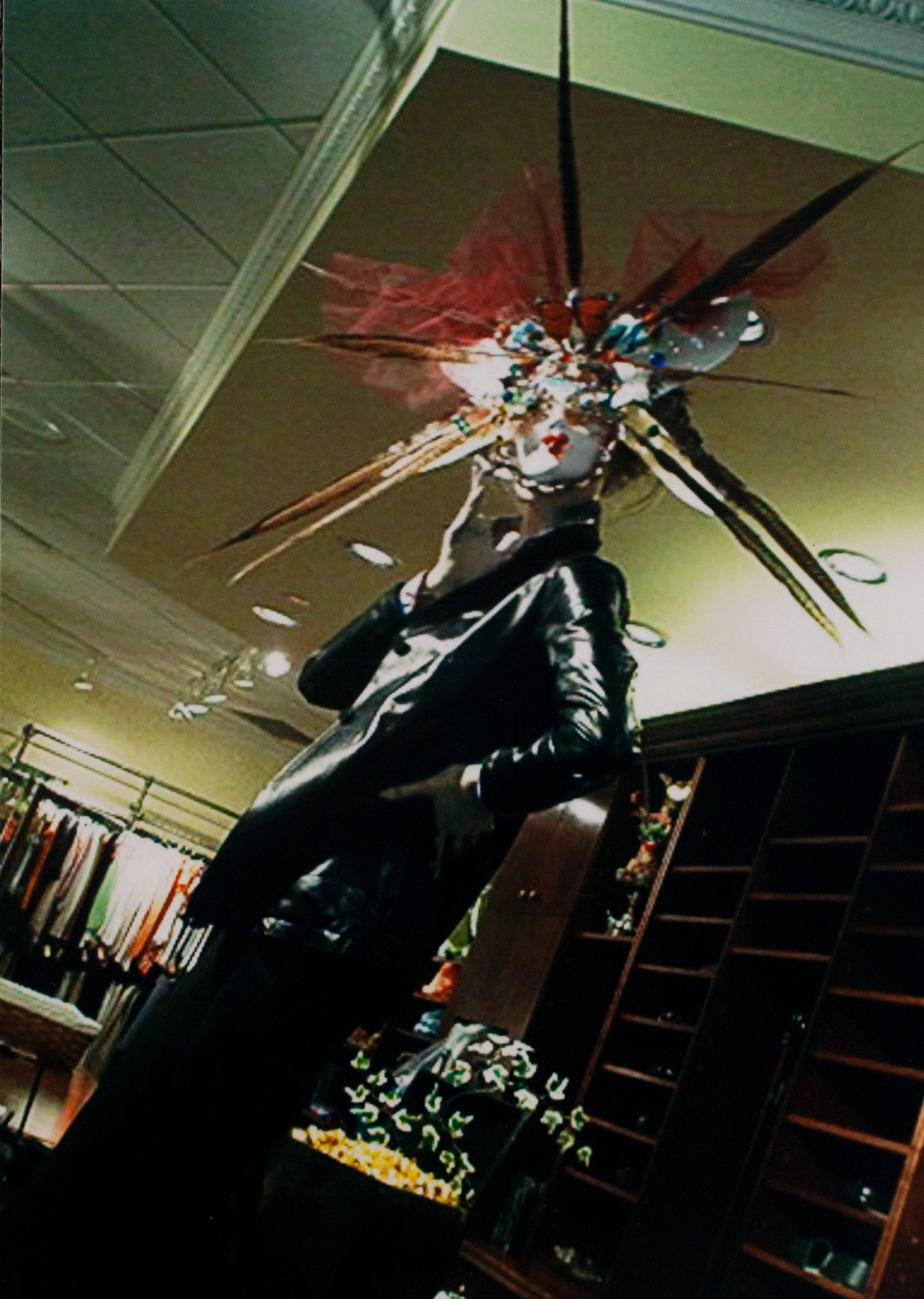 image-17.jpg