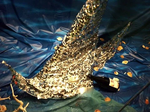image-05.jpg