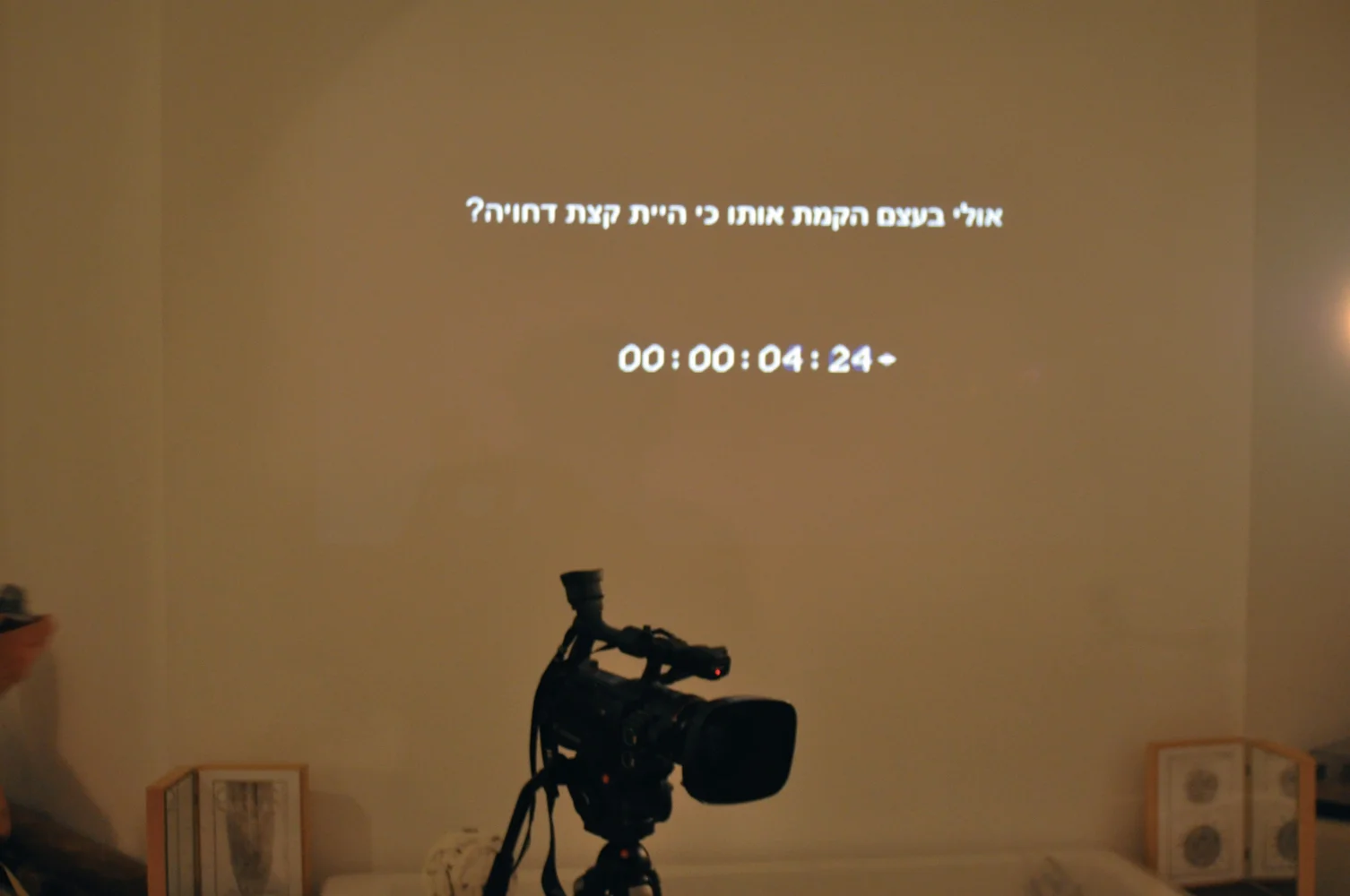 Self Portrait as a Simulacra (2009)