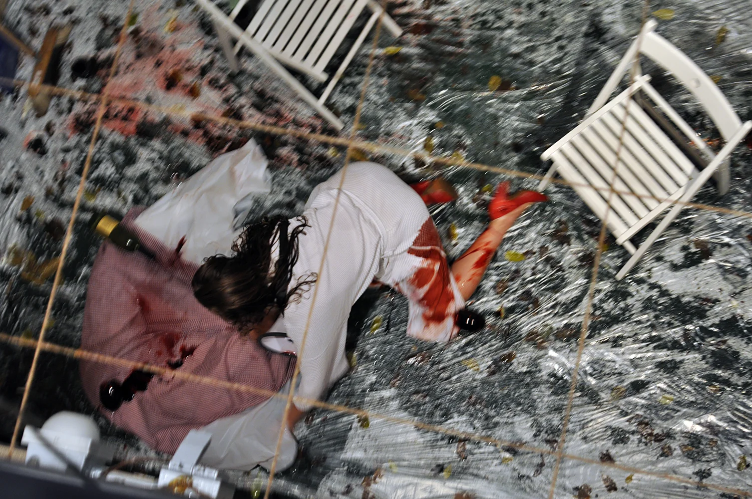 I Am Not Resisting (2012)