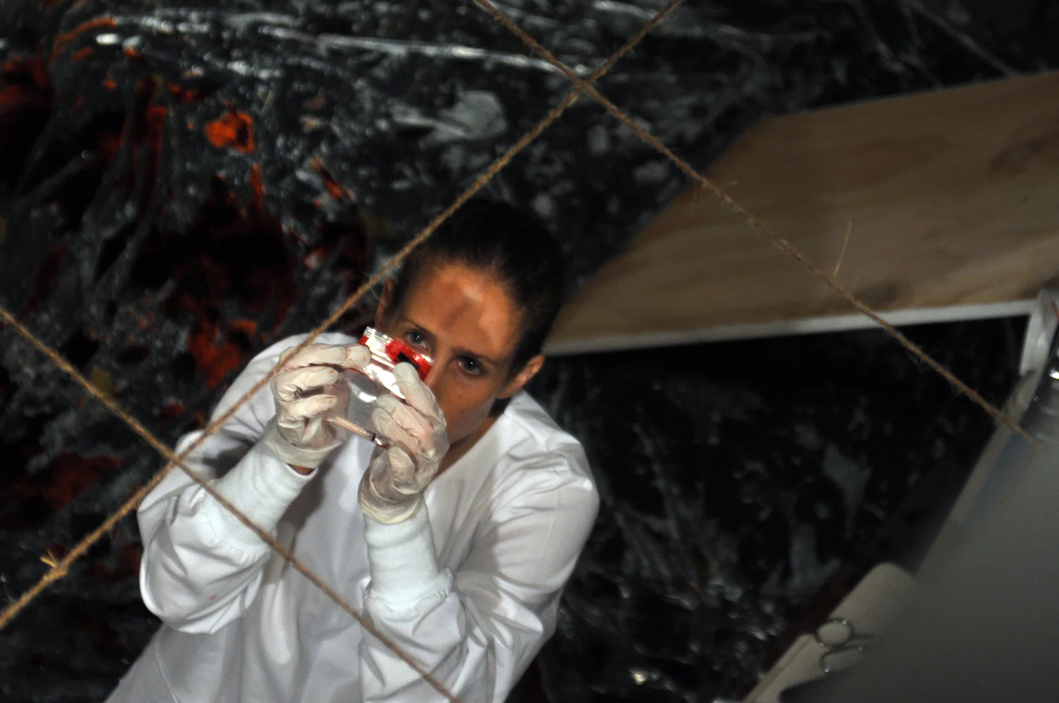 I Am Not Resisting (2012)