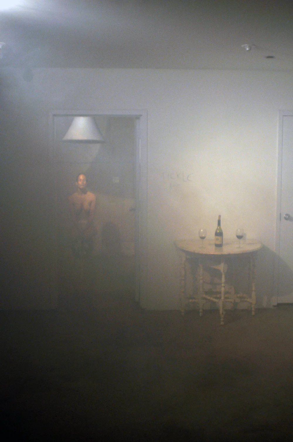 Public Safety (24-hour Performance, Glasshouse NY, 2012)