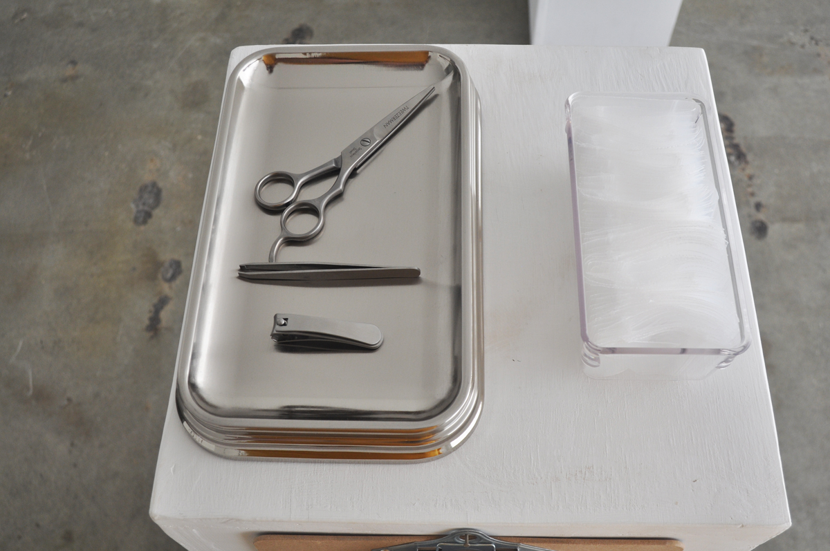 Public Safety (24-hour Performance, Glasshouse NY, 2012)