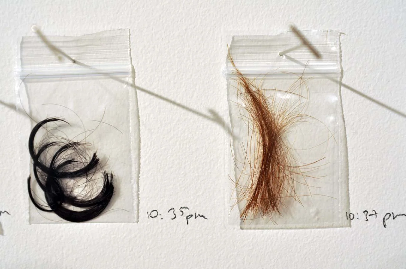 Public Safety (24-hour Performance, Glasshouse NY, 2012)