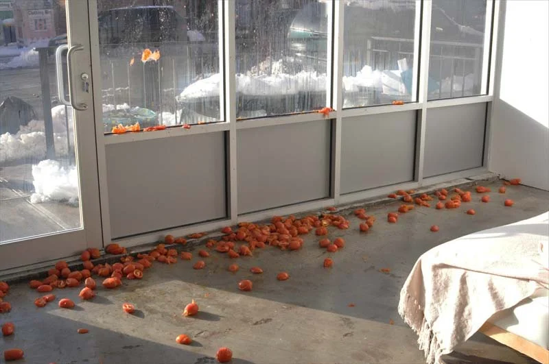 Colony Collapse Disorder (24h Performance, 2013)