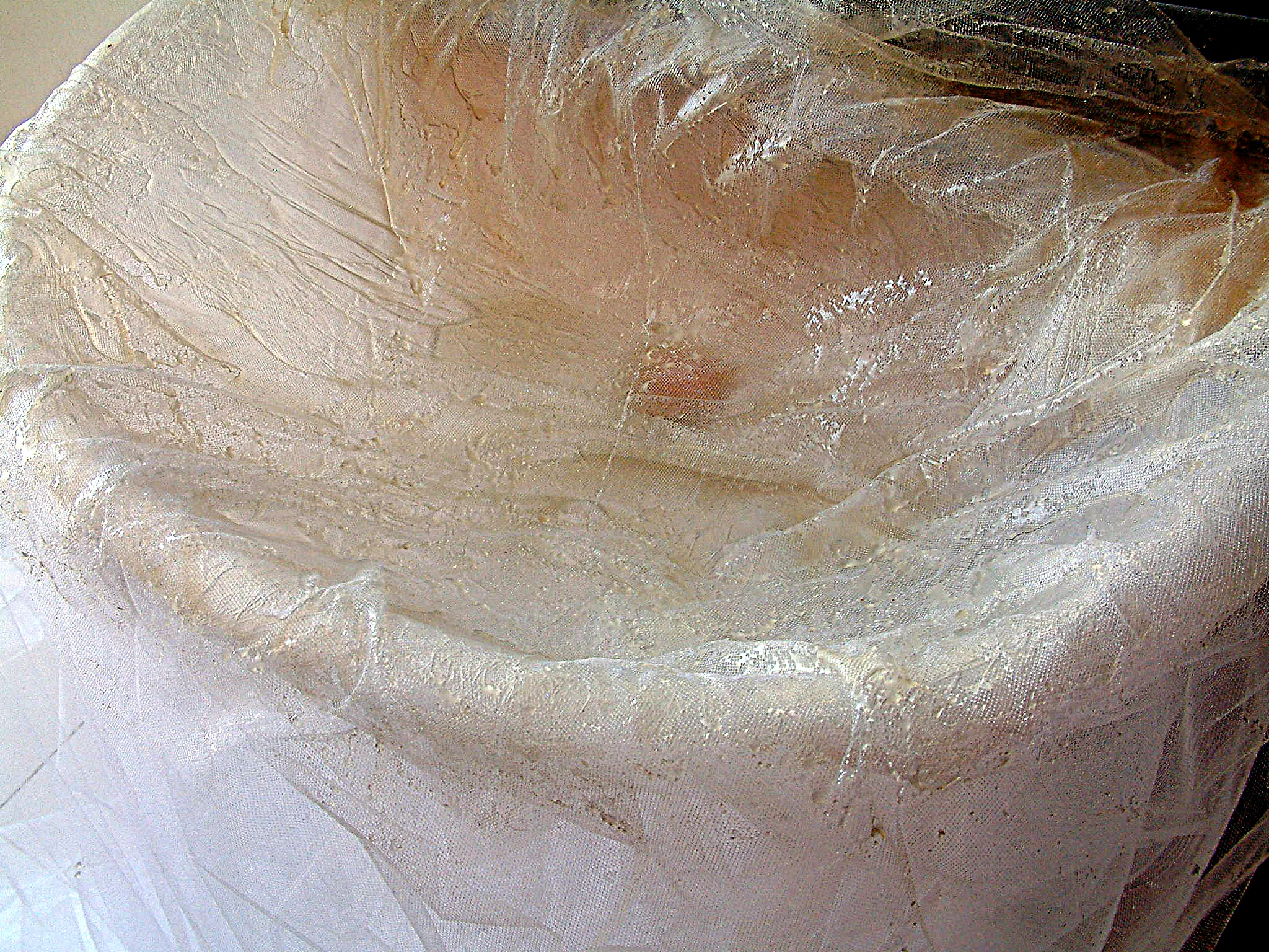 Garden of Floating Events (2004)