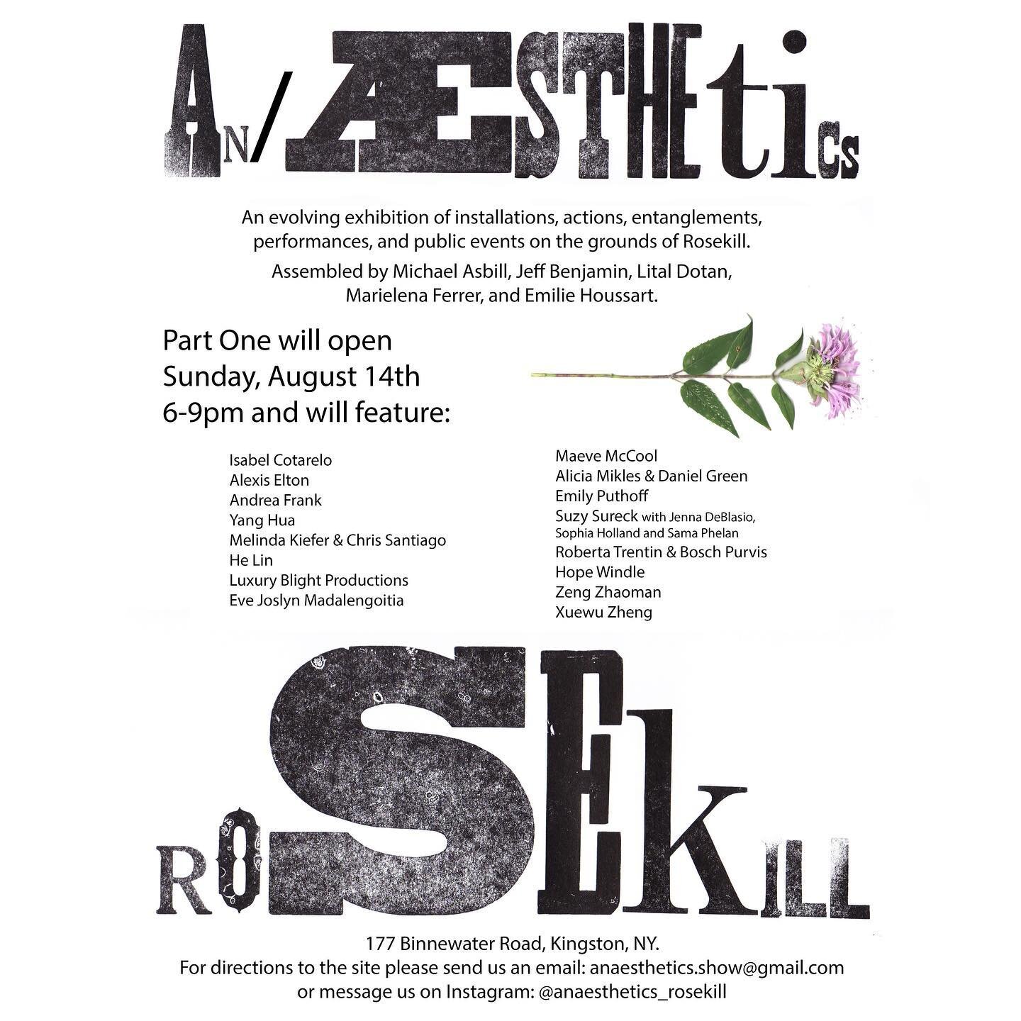 The an/aesthetics opening on Friday @chhsorg was fantastic! Thank you to all the artists and everyone who joined us. Join us for an/aesthetics @rosekill.art.farm opening Sunday August 14, 6-9pm. 177 Binnewater Road. 

The show at this location will c