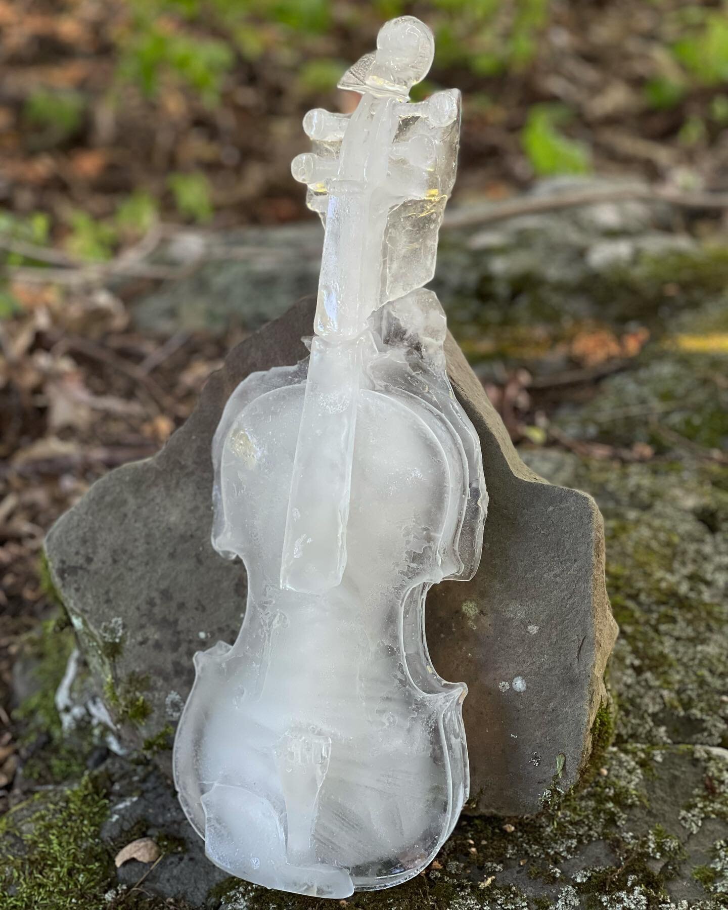 Melting Time Piece #6 (Violin) 2022  A durational sculpture made of frozen water from @rosekill.art.farm pond presented at @anaesthetics_rosekill #durationalsculpture #durationalperformance #performanceart #upstateny #upstateart #upstateartists #outd