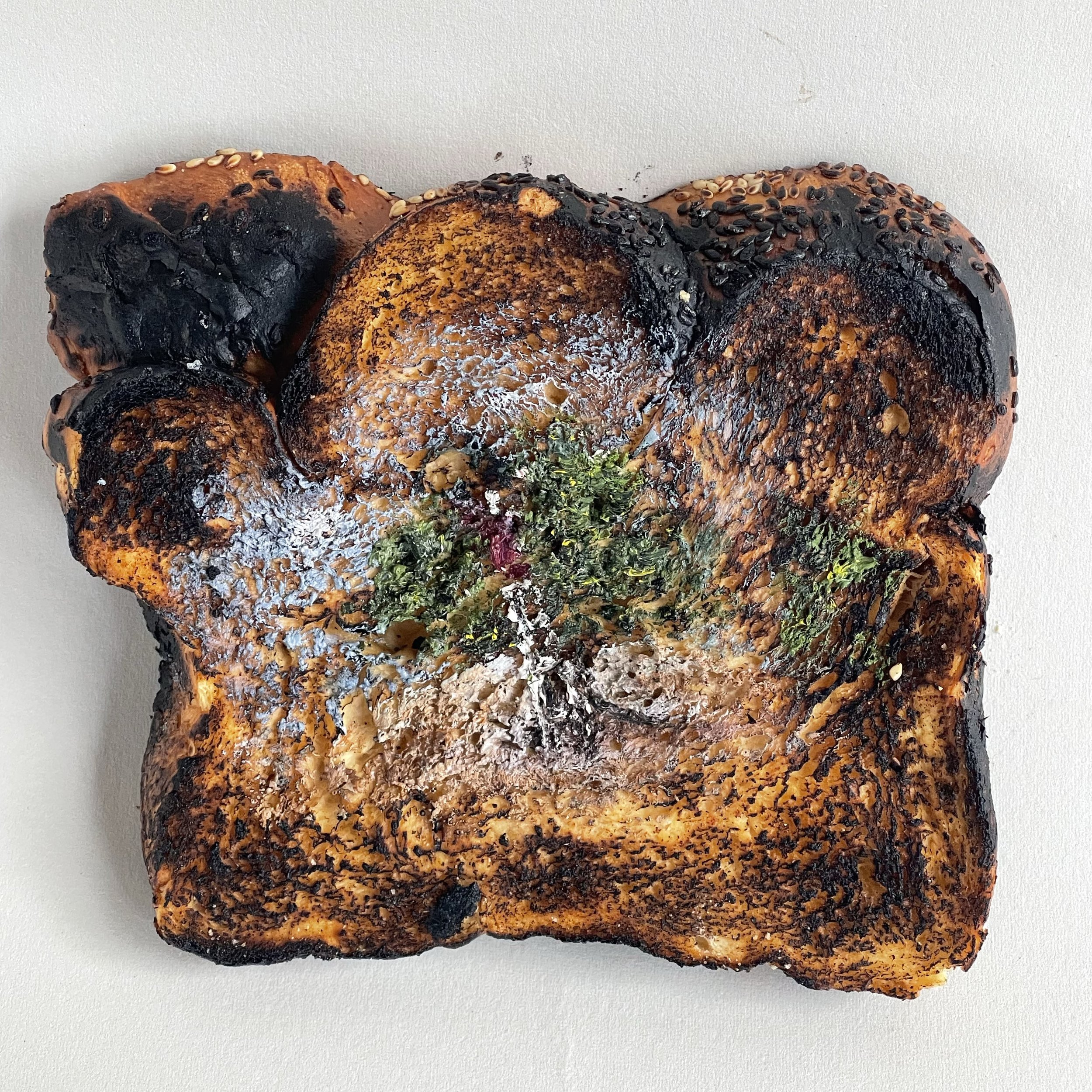 Untitled (olive tree)