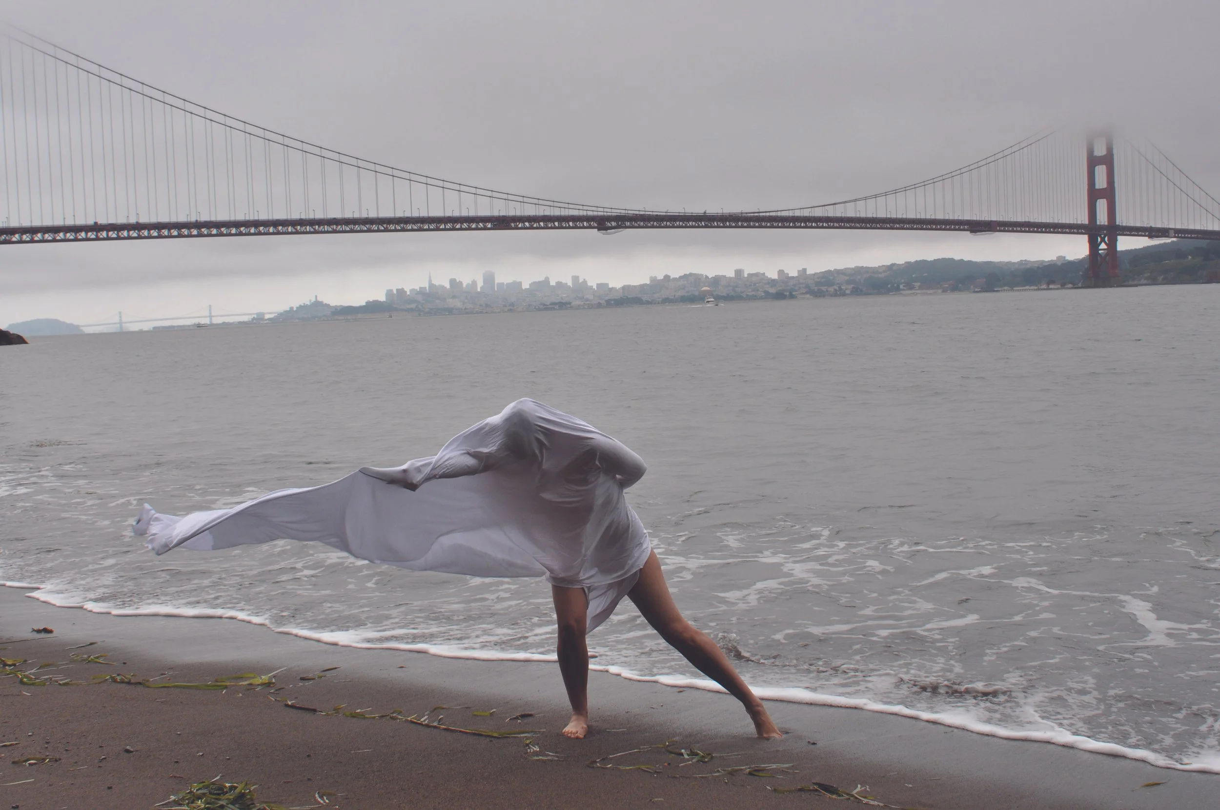 Transformation Bridge (2010)