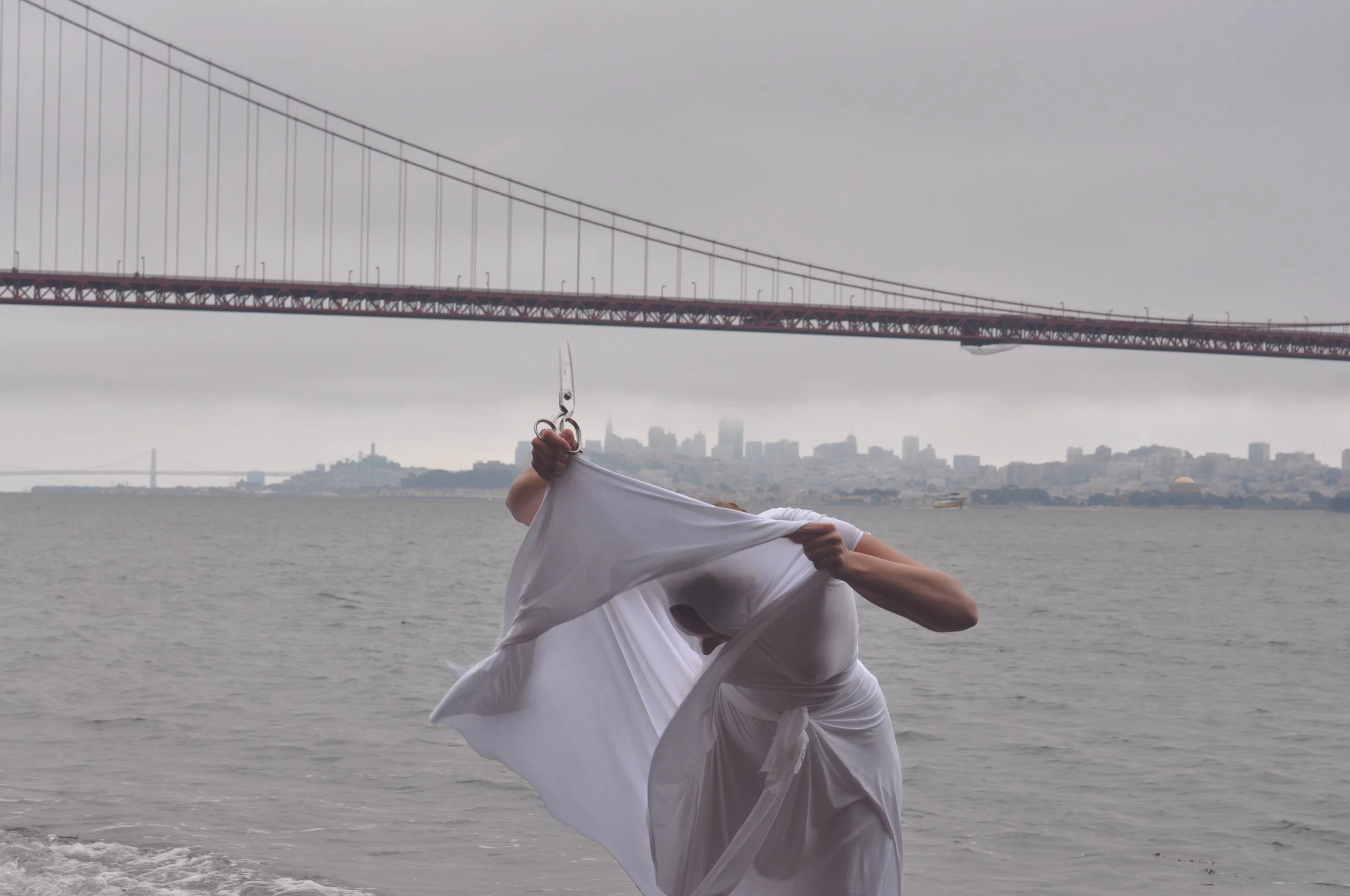 Transformation Bridge (2010)