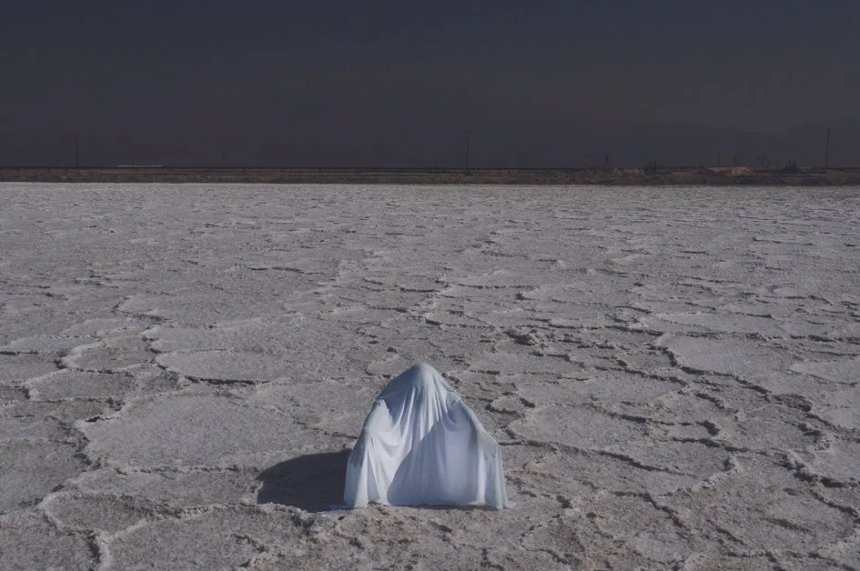 Transformation Salt Field (2010)