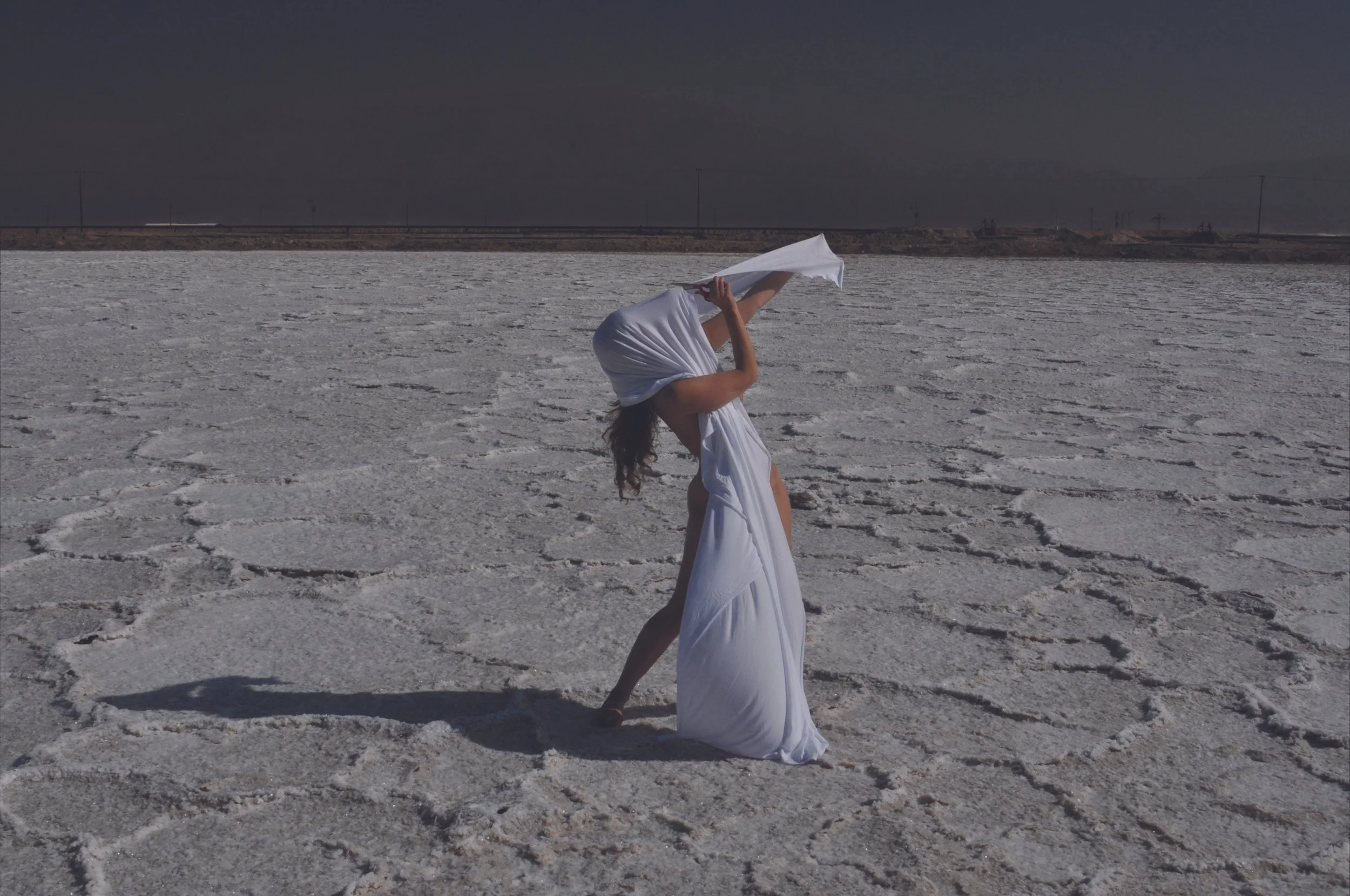 Transformation Salt Field (2010)