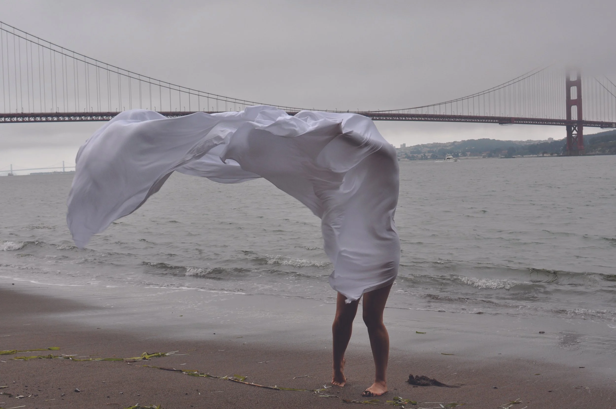 Transformation Bridge (2010)