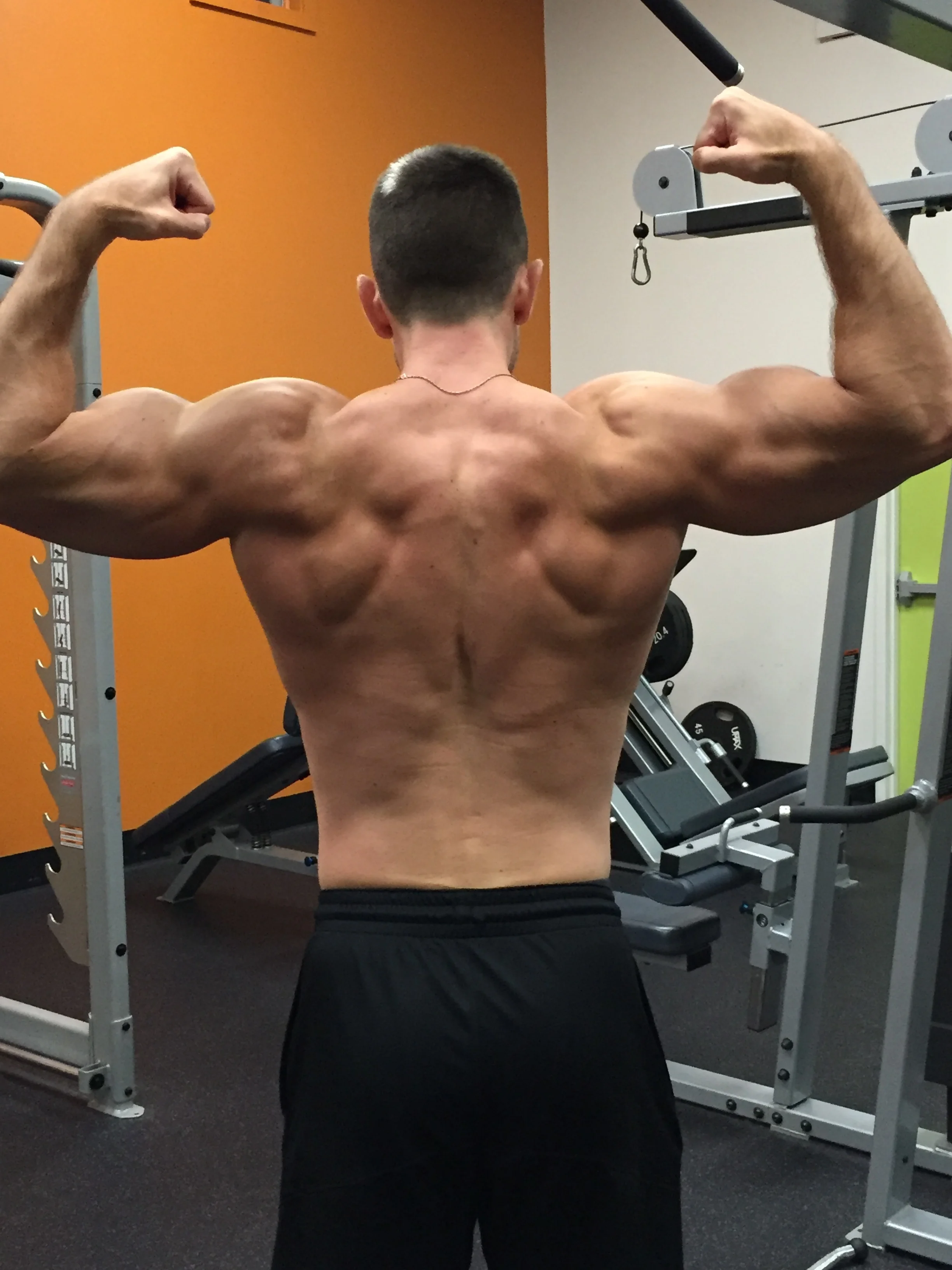 Back Strength Builder