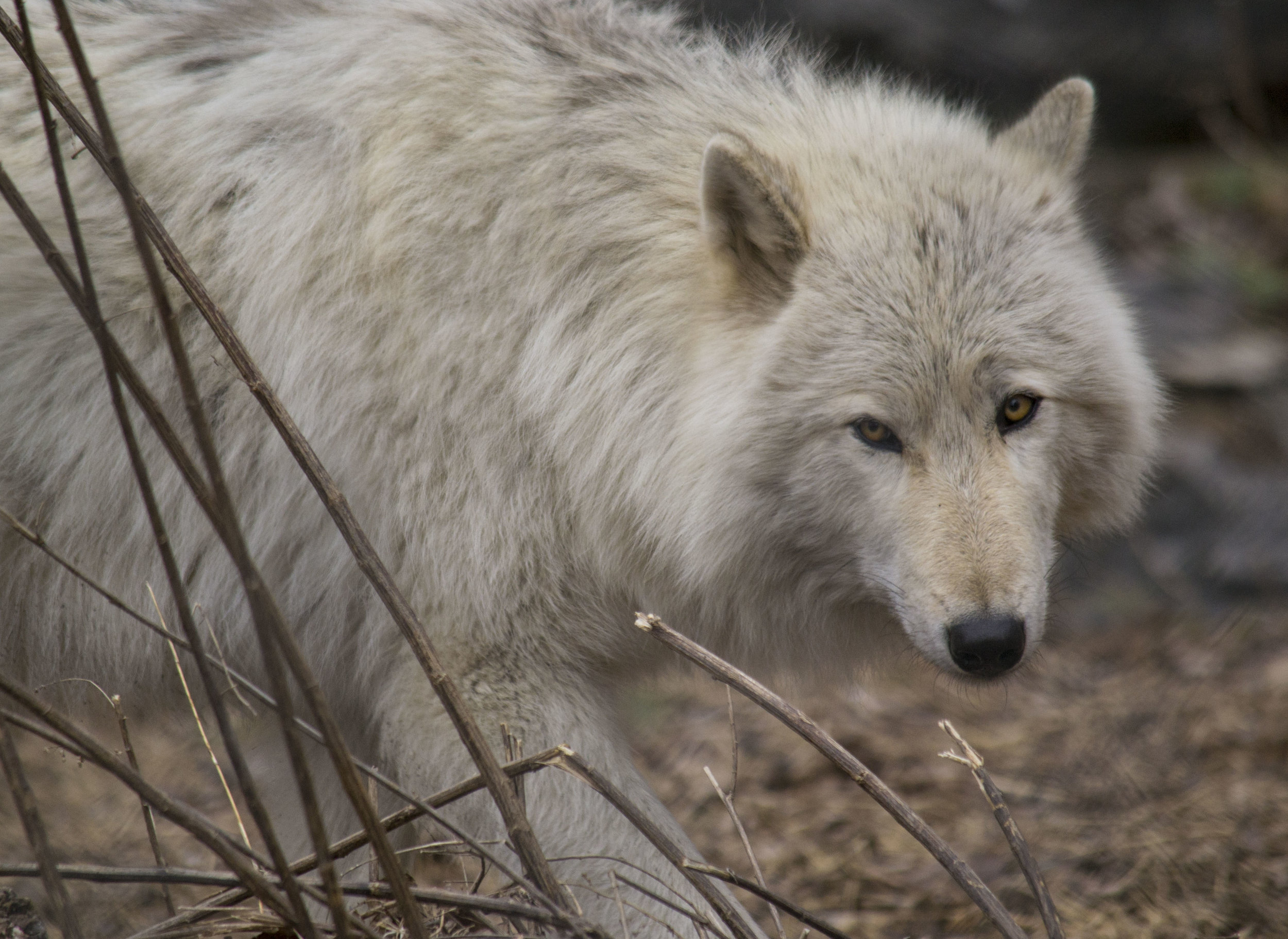 Photo by Karoline Hood.
