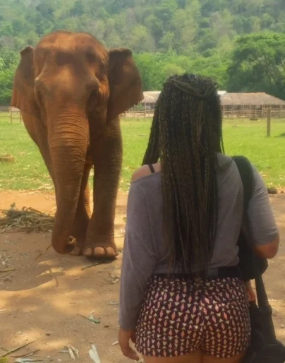 Elephant Nature Park, Thailand.