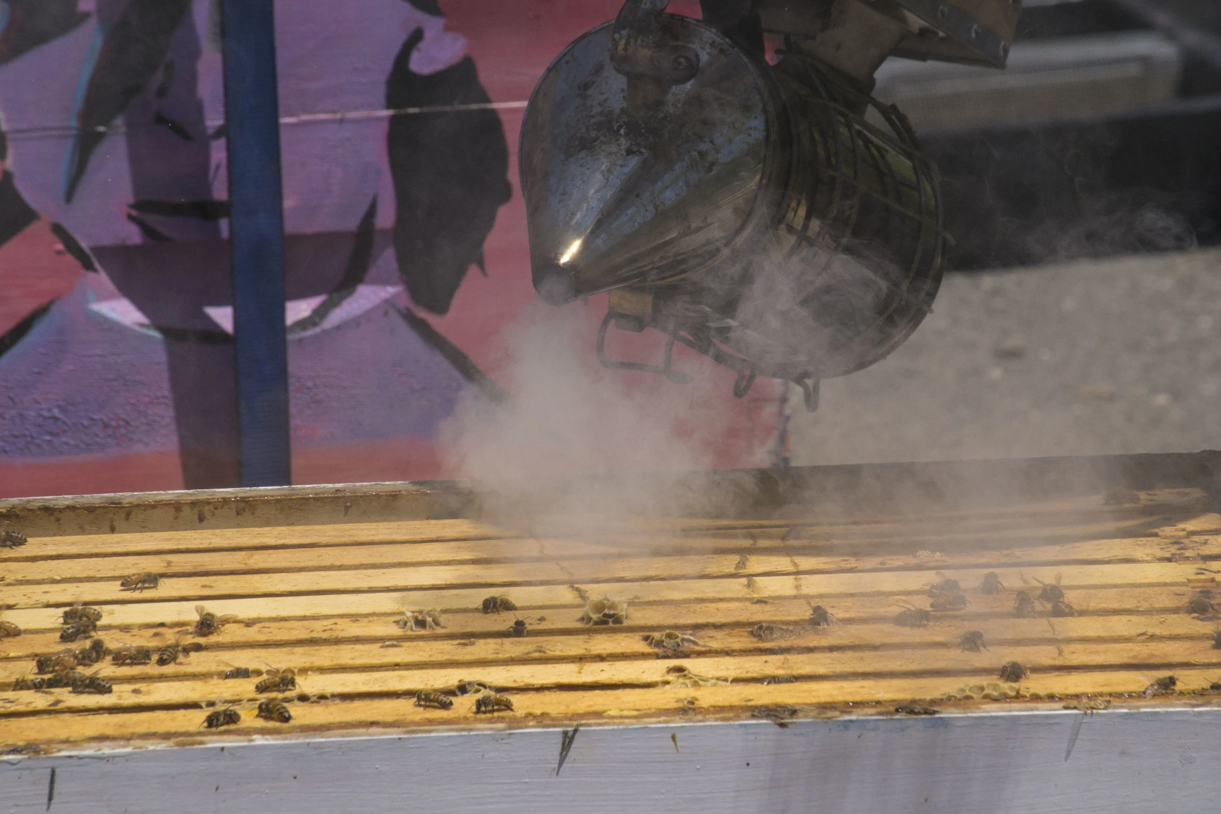 beekeeper1_32.jpg