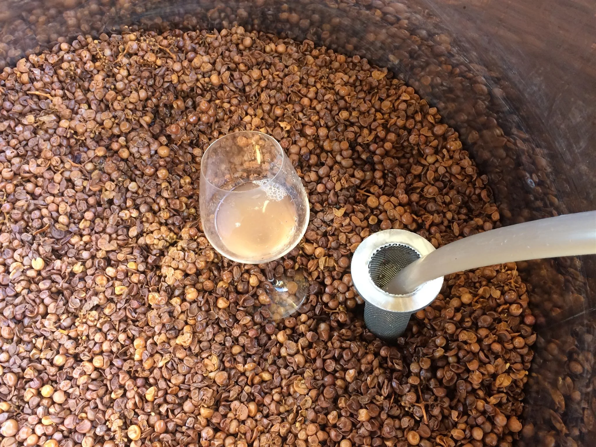 Orange Wine Presentation 