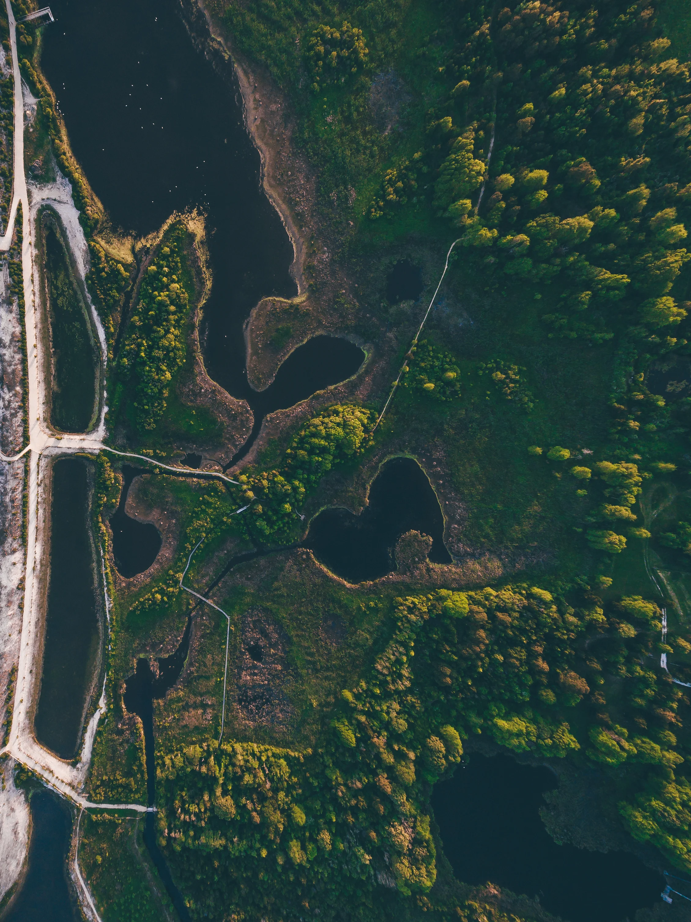 DJI_0026.jpg