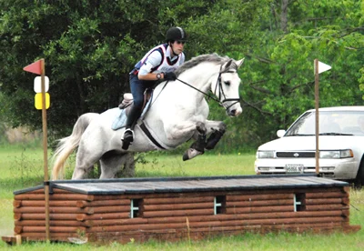 Mistro In his first event at BN