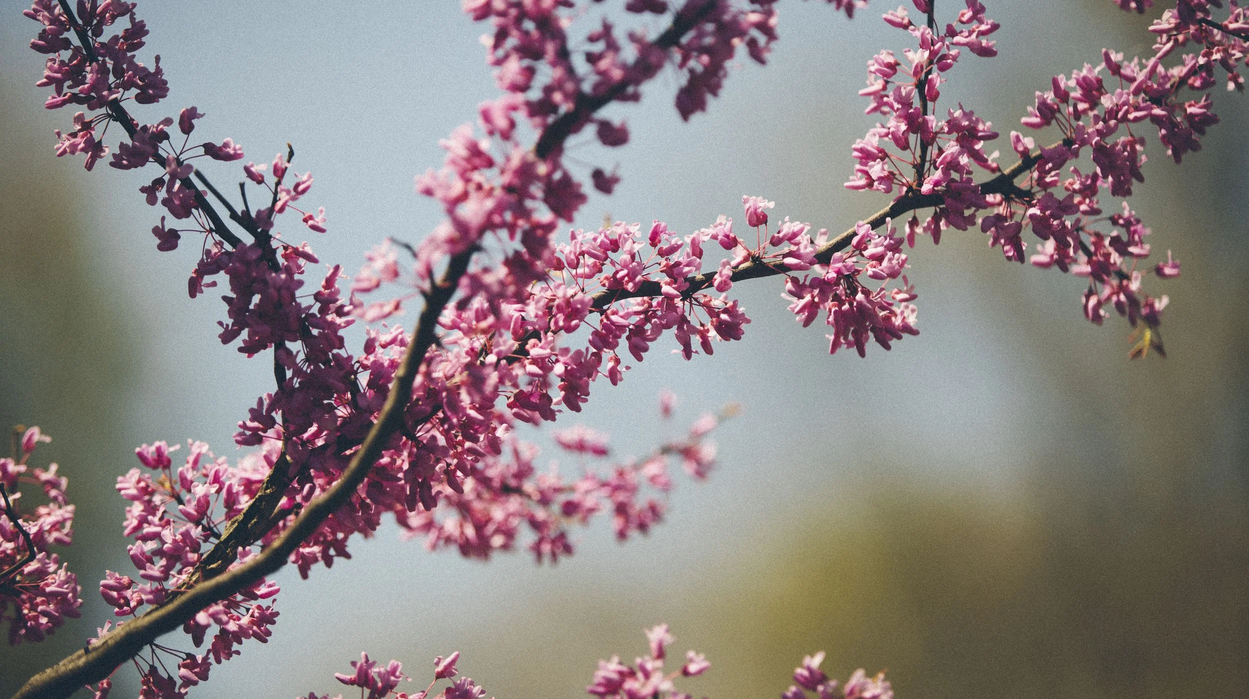 Seven Ways to Make it to Spring