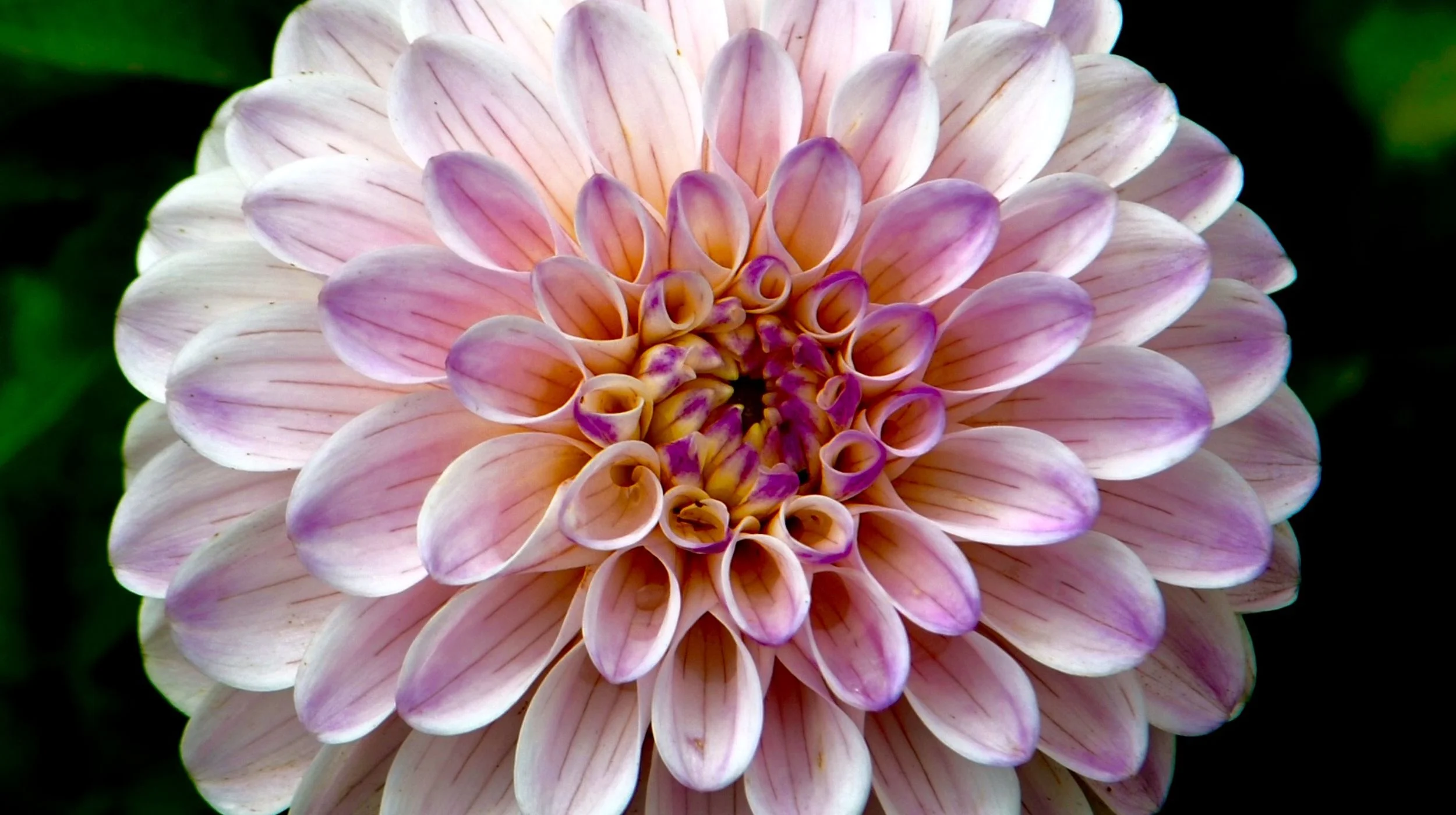 How to Make Your Own All-Natural Face Masks