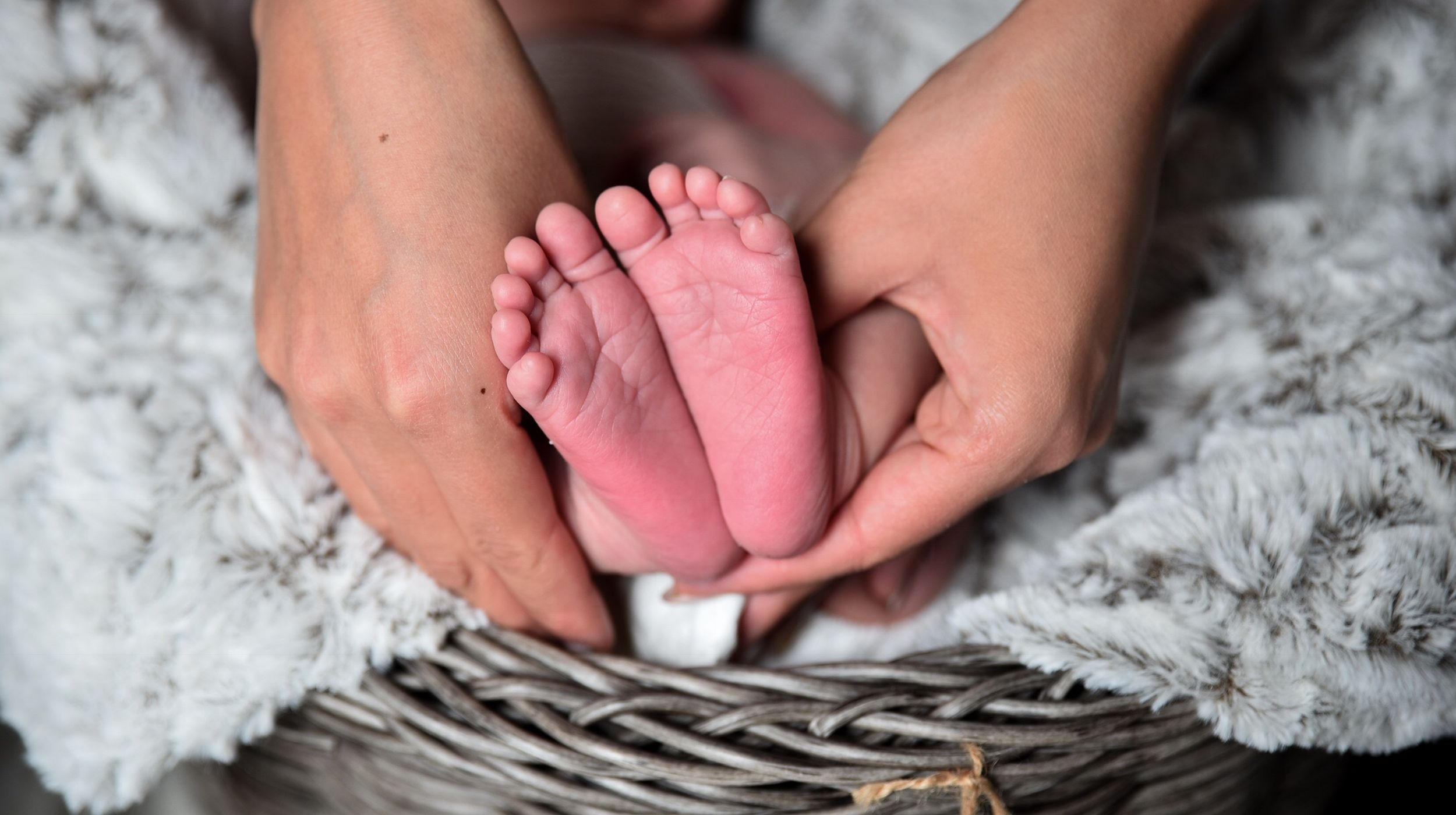 The Mother Lode: a celebration of mothers