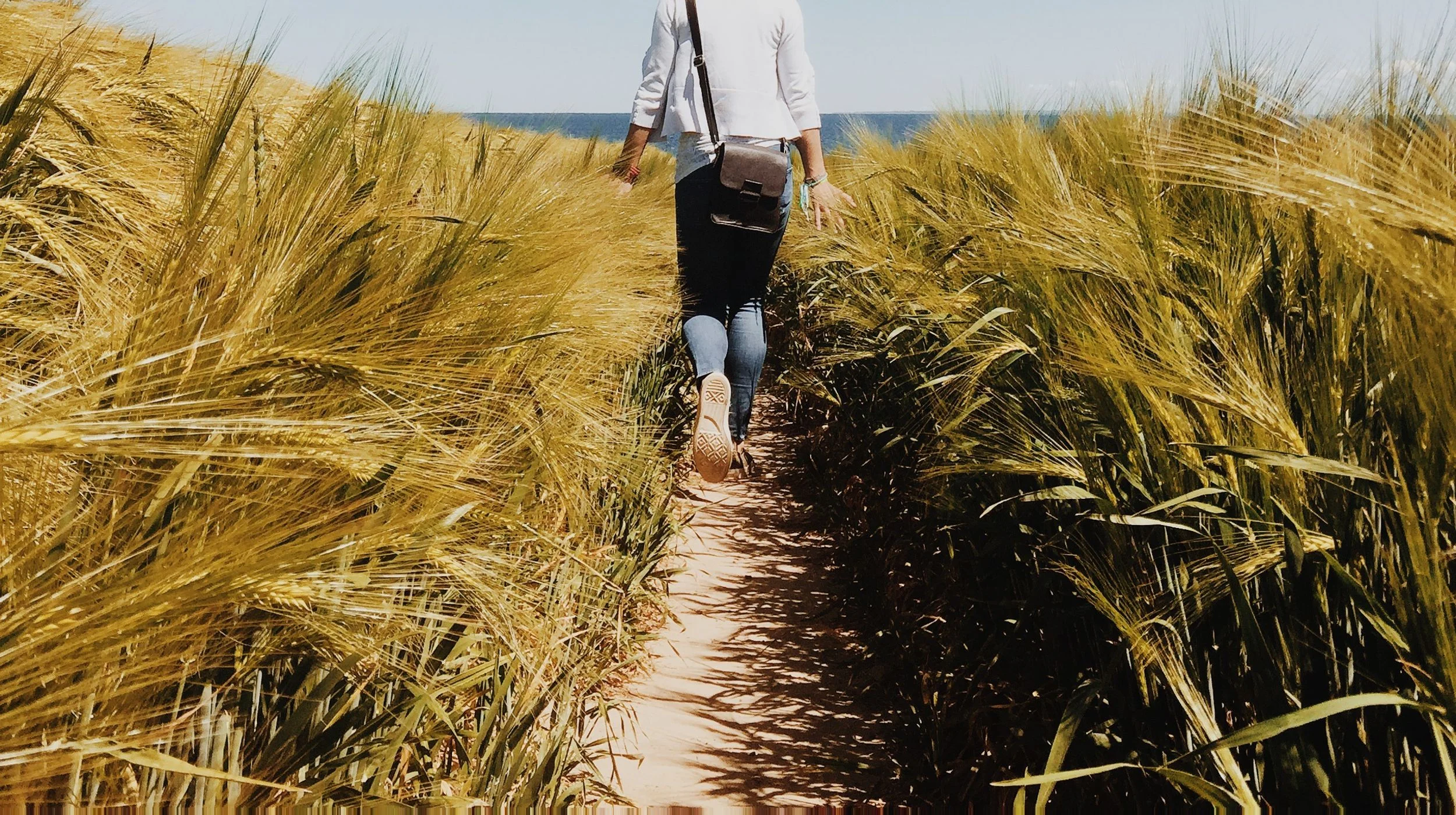 Ten All Natural Energizers