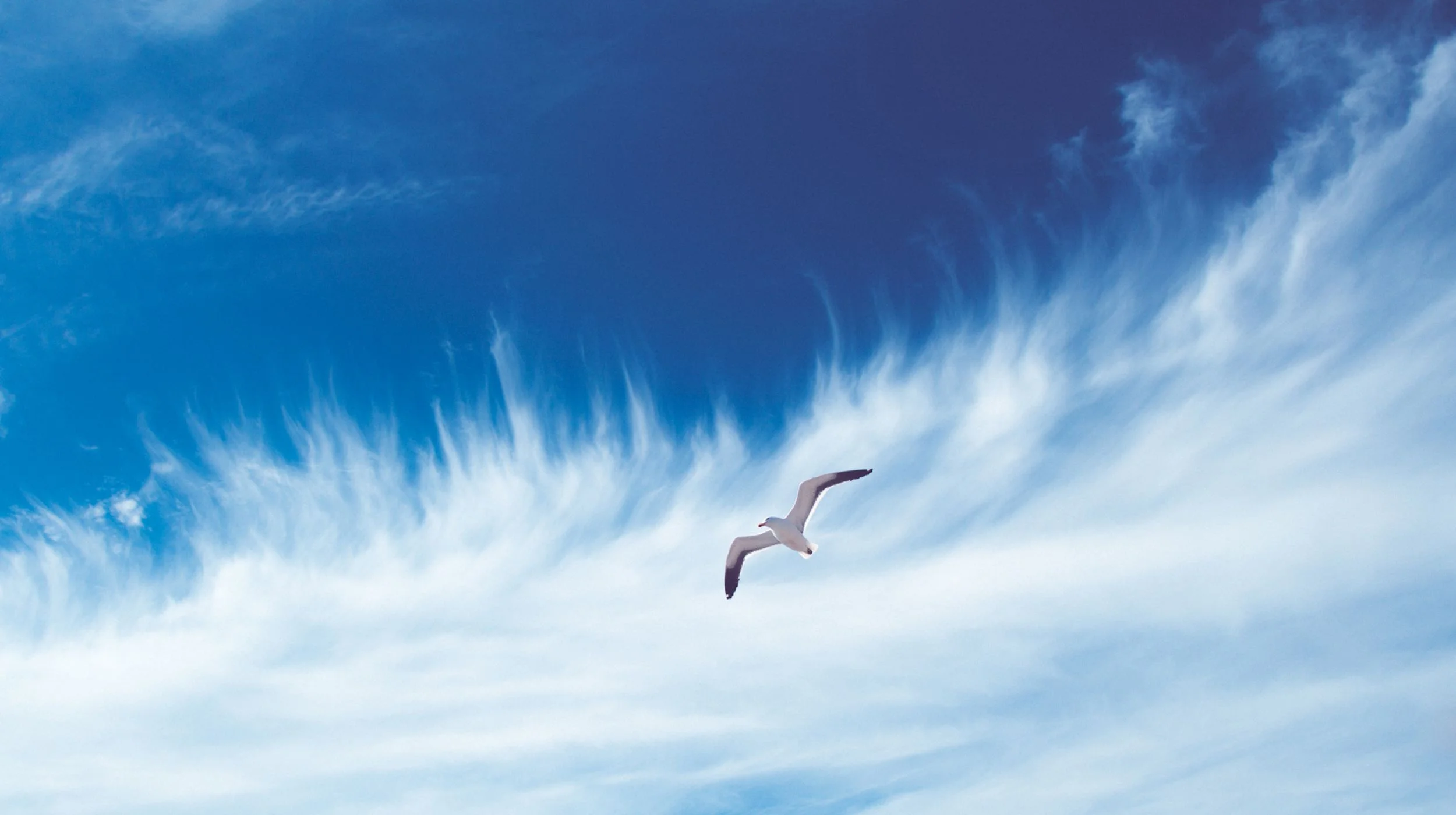 Earth, Wind, and Fire: Everyday ayurveda and how it works for you