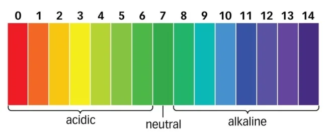 balance-acidity-alkalinity.jpg