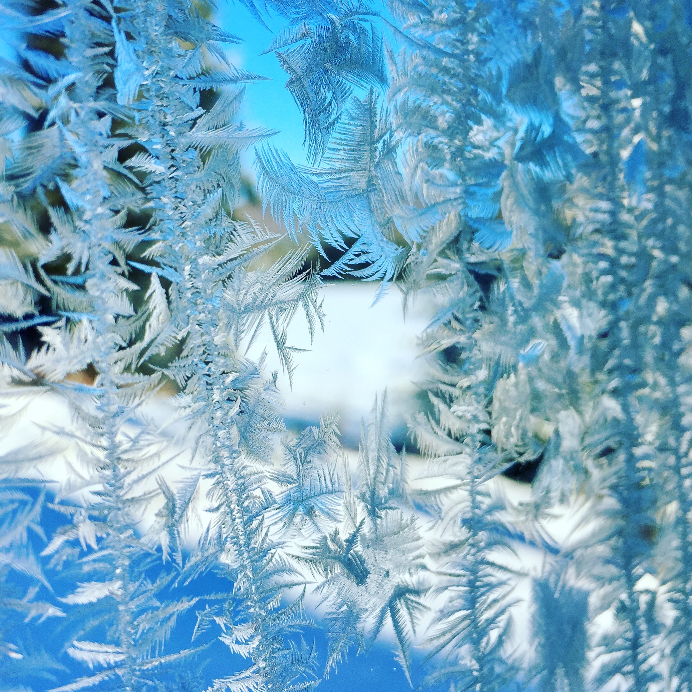10 Ways to Stay Healthy & Happy this Winter