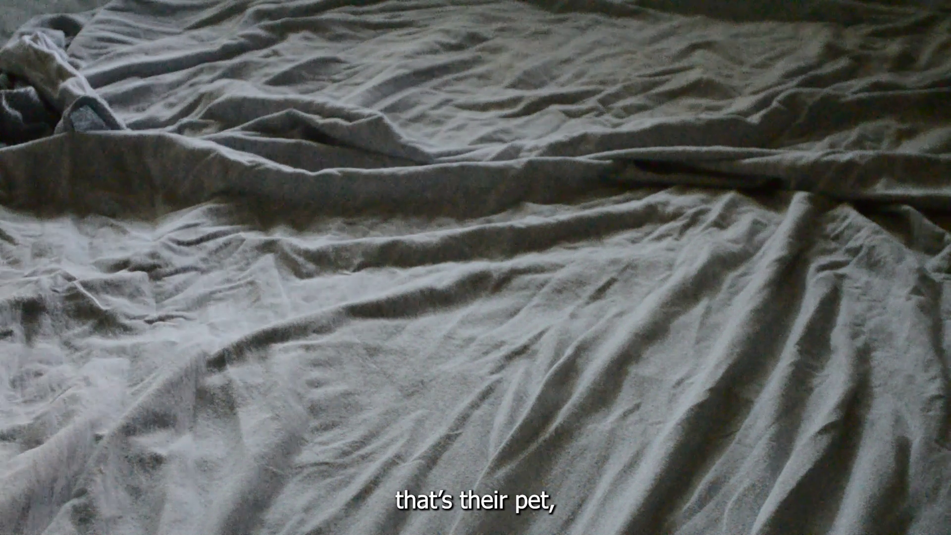 vlcsnap-2025-01-19-12h21m05s430.png