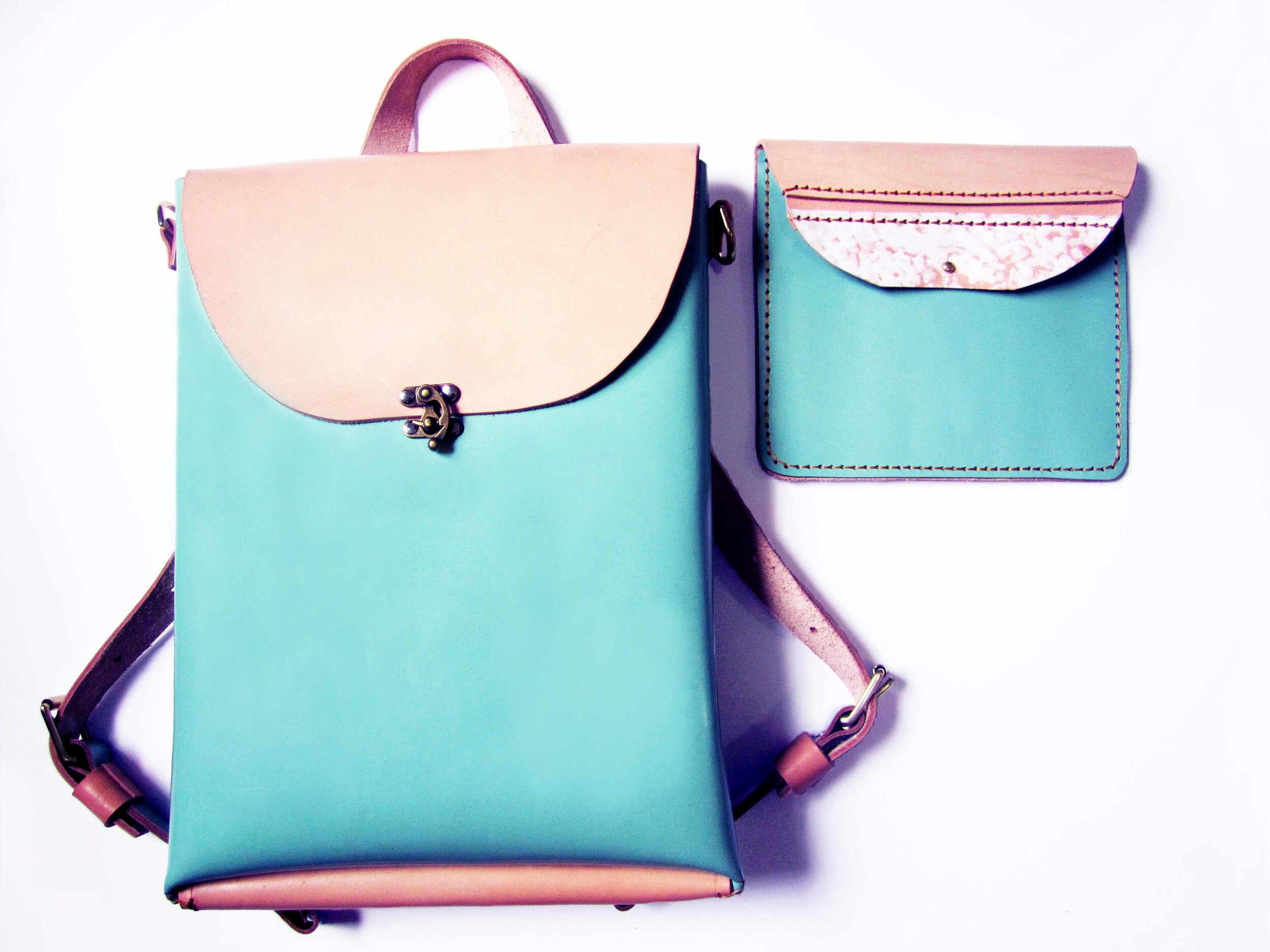Aqua backpack setup.jpg