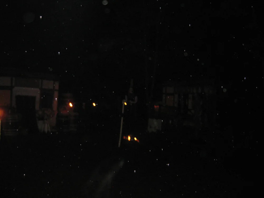 Blondie's scare pics 250.jpg