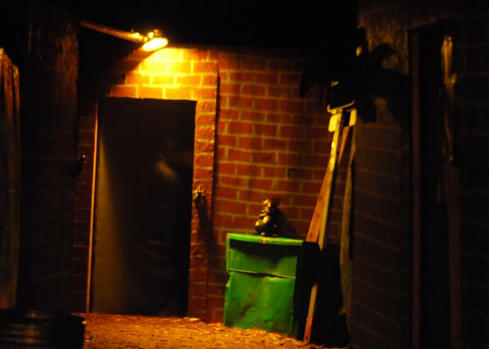Scare 2009 Night 3 173.jpg