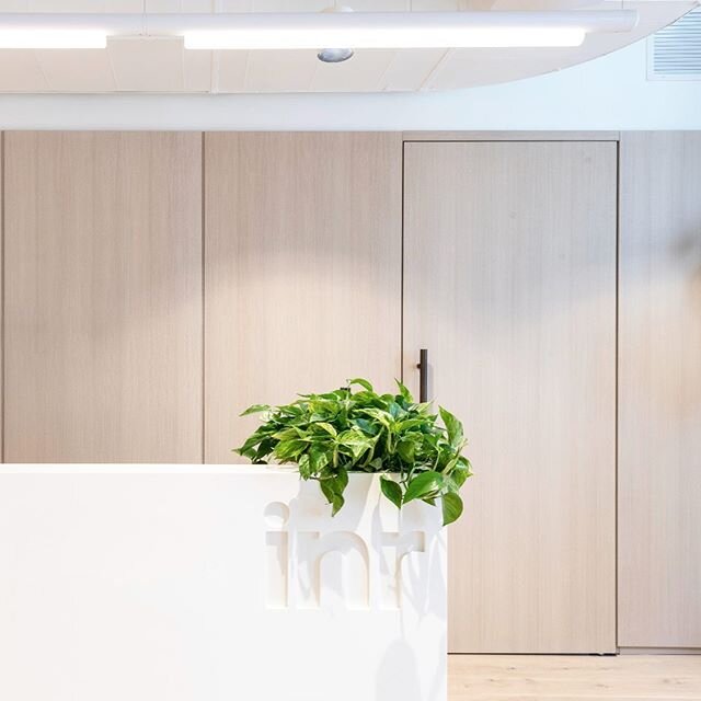 I always wish I can be part of the welcoming committee when people walk in on Day 1 and see their new workspace 🎊
&middot;

This is the reception, with a hidden conference room behind it. I love the look of these milky wood panels behind. They creat