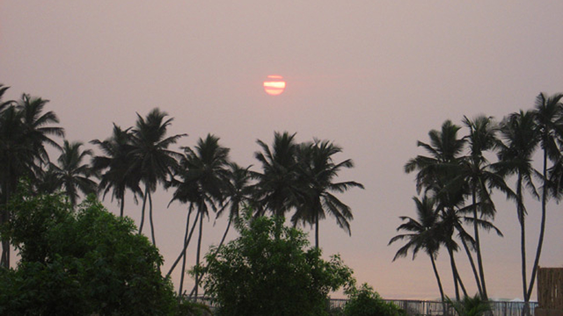35sunsetovertrees.jpg