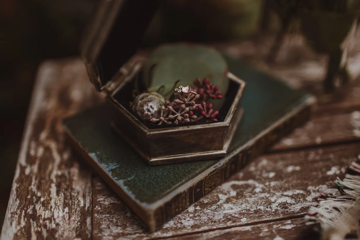 Olympic Peninsula Elopement-LizMorrow-9.jpg