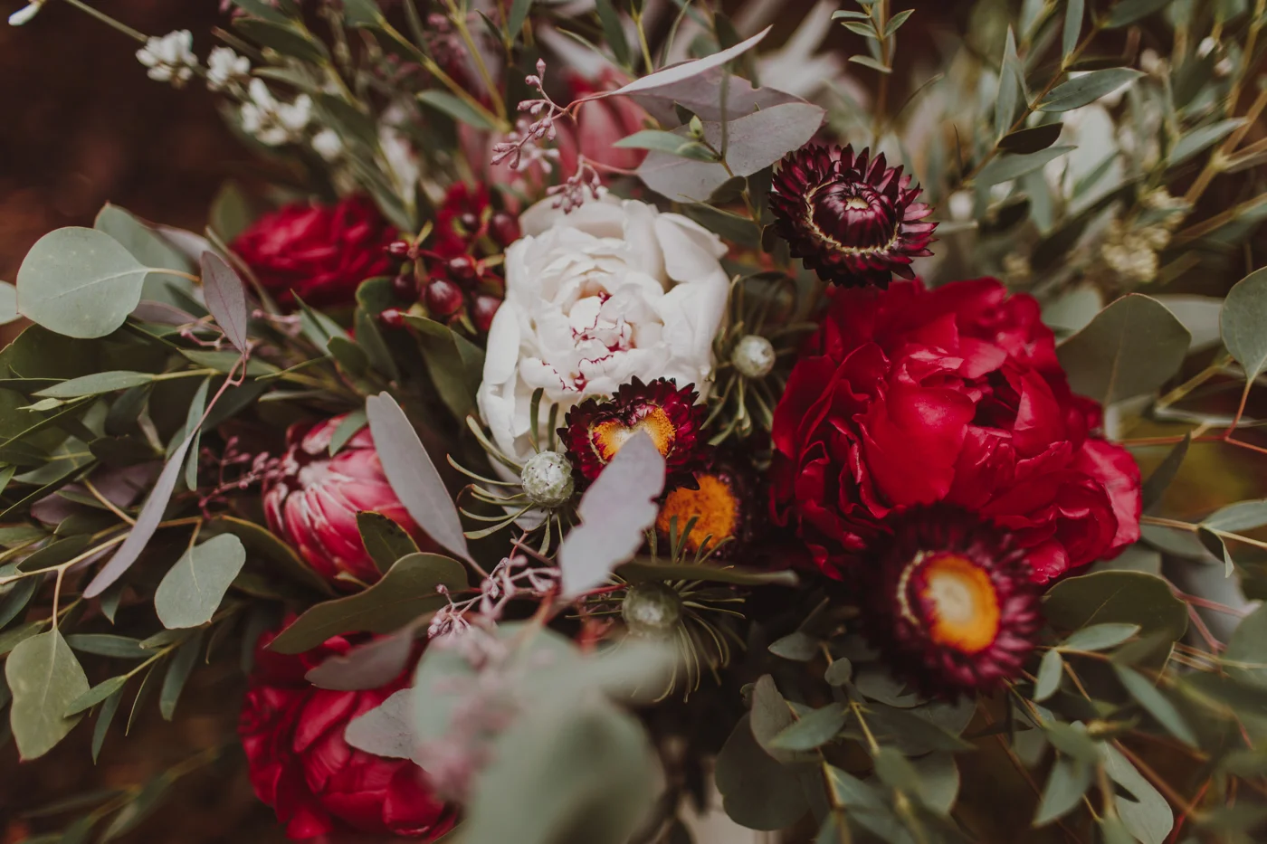 Olympic Peninsula Elopement-LizMorrow-15.jpg