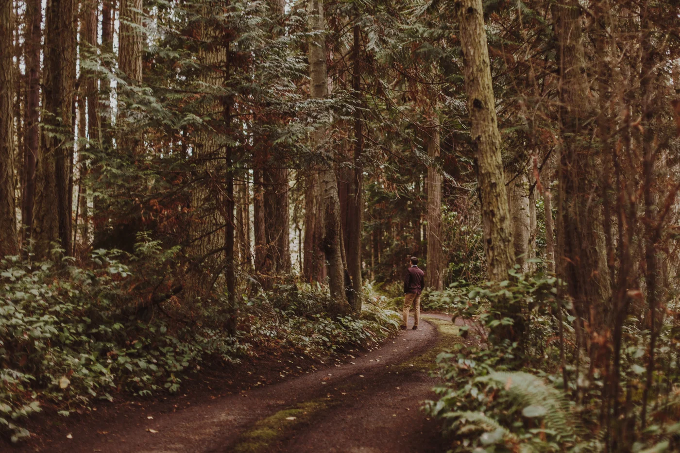 Olympic Peninsula Elopement-LizMorrow-27.jpg