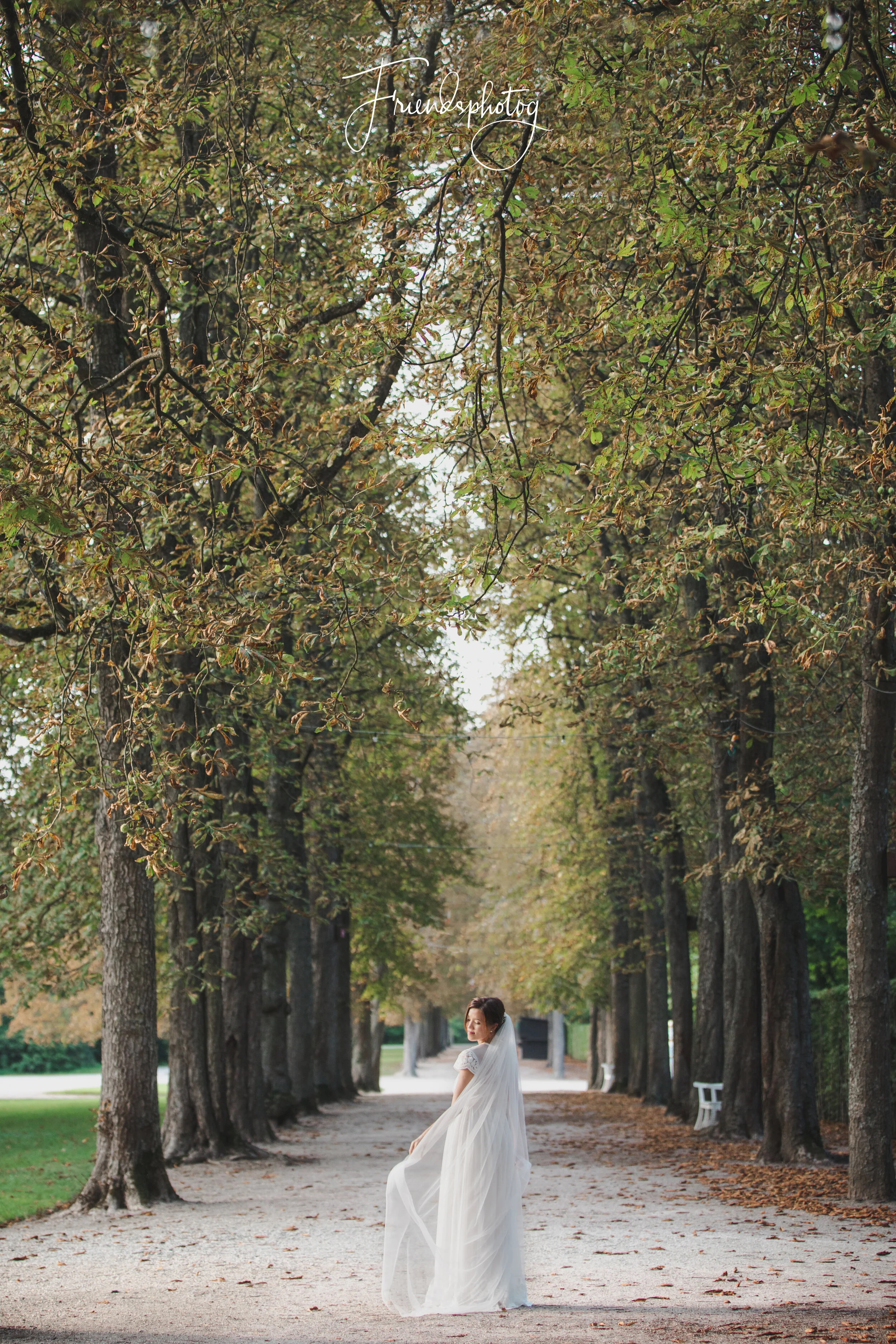 5D4_4826-Edit.jpg